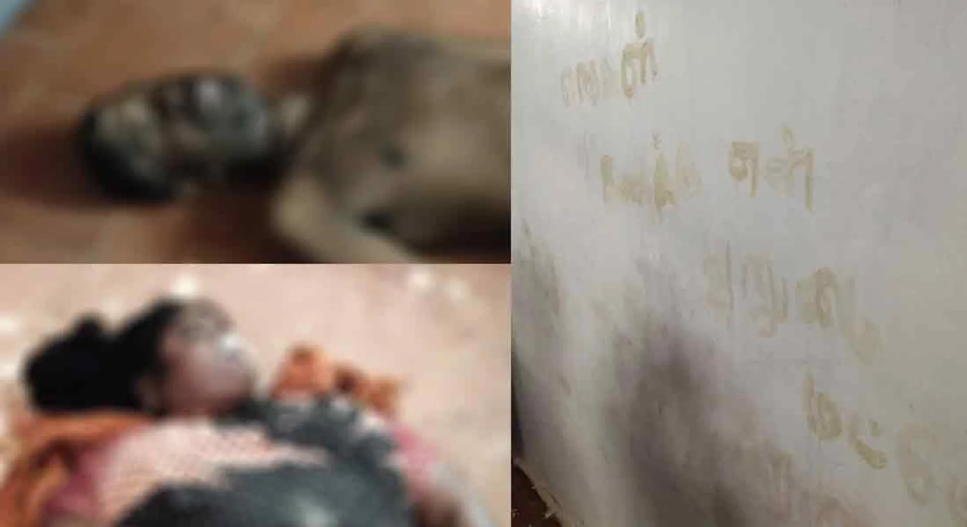 incident in nellai sengkottai