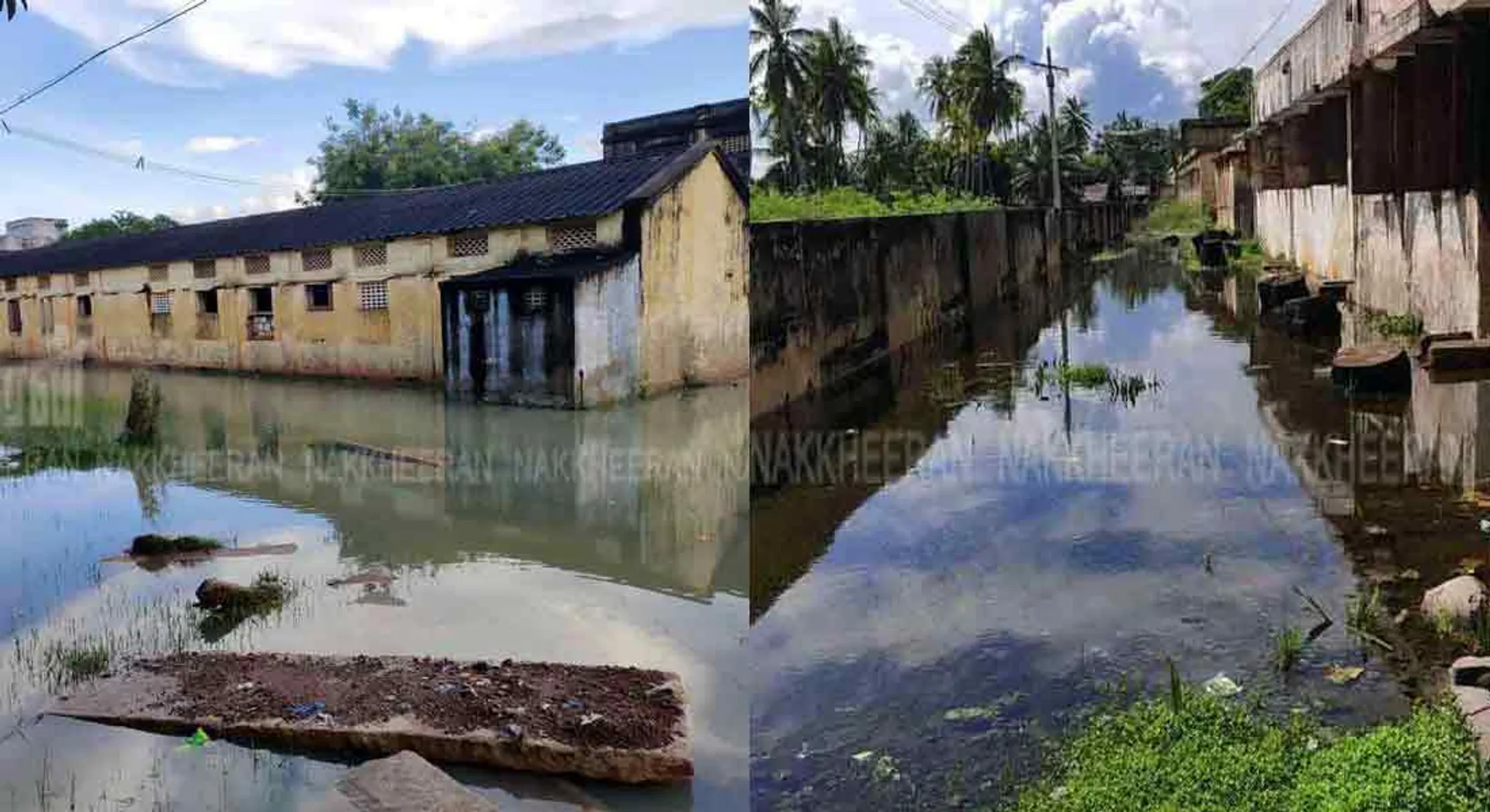 Government school floating in rain water ... Will the government take action?