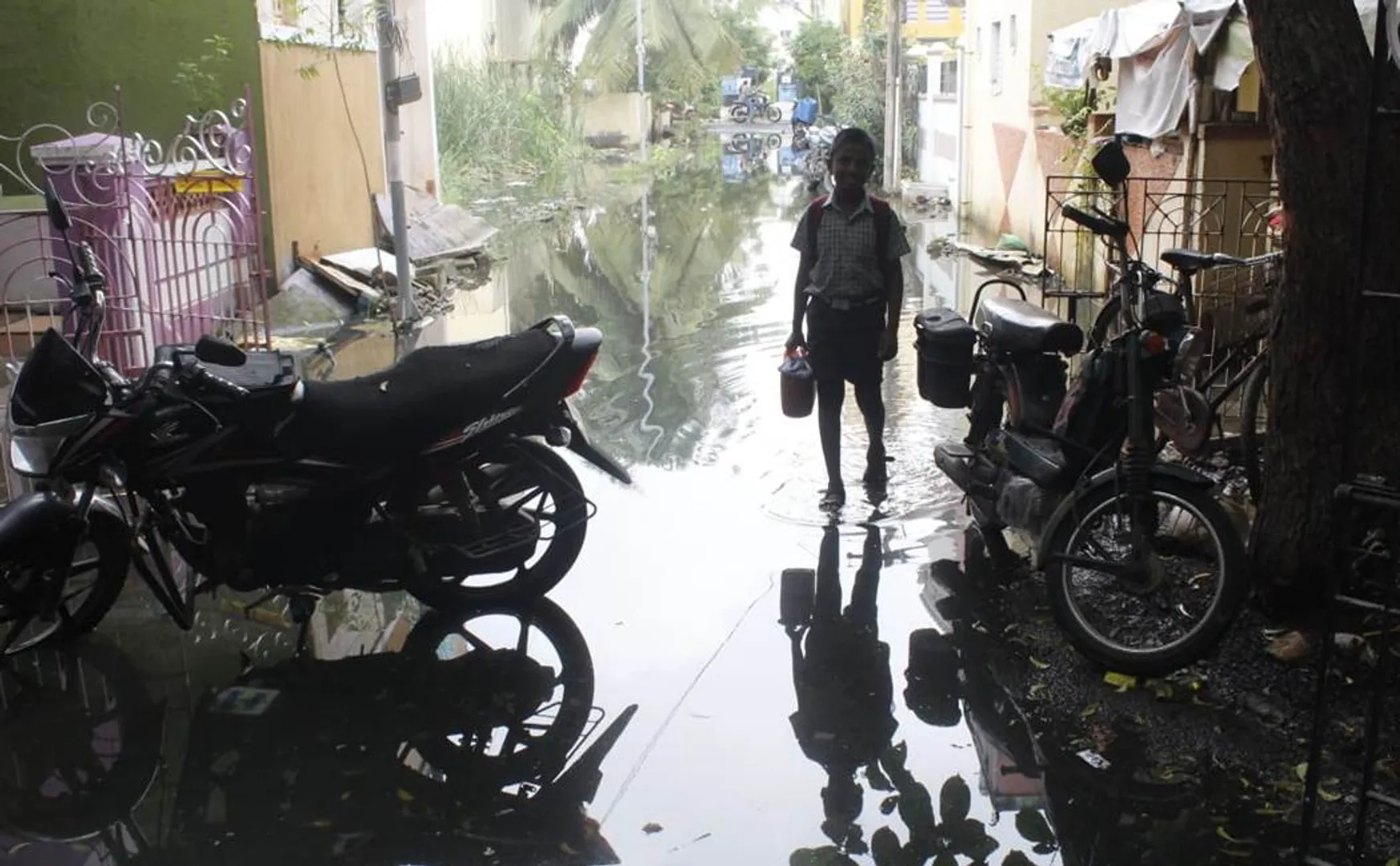  dengue spreading Pulutivakkam