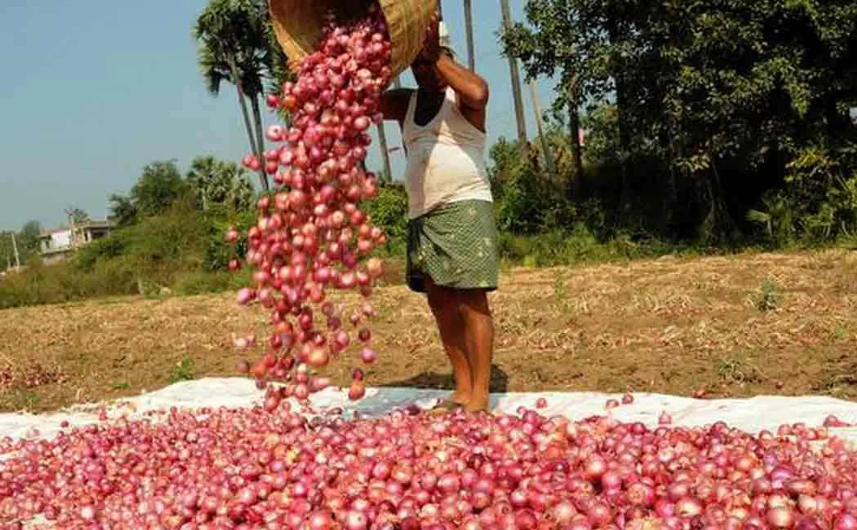 azam khan about onion price