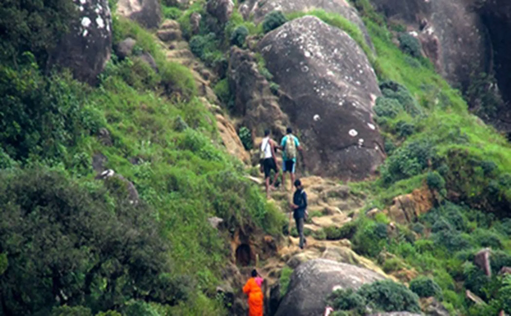 velliangiri Mountain issue-Madras High Court judgement
