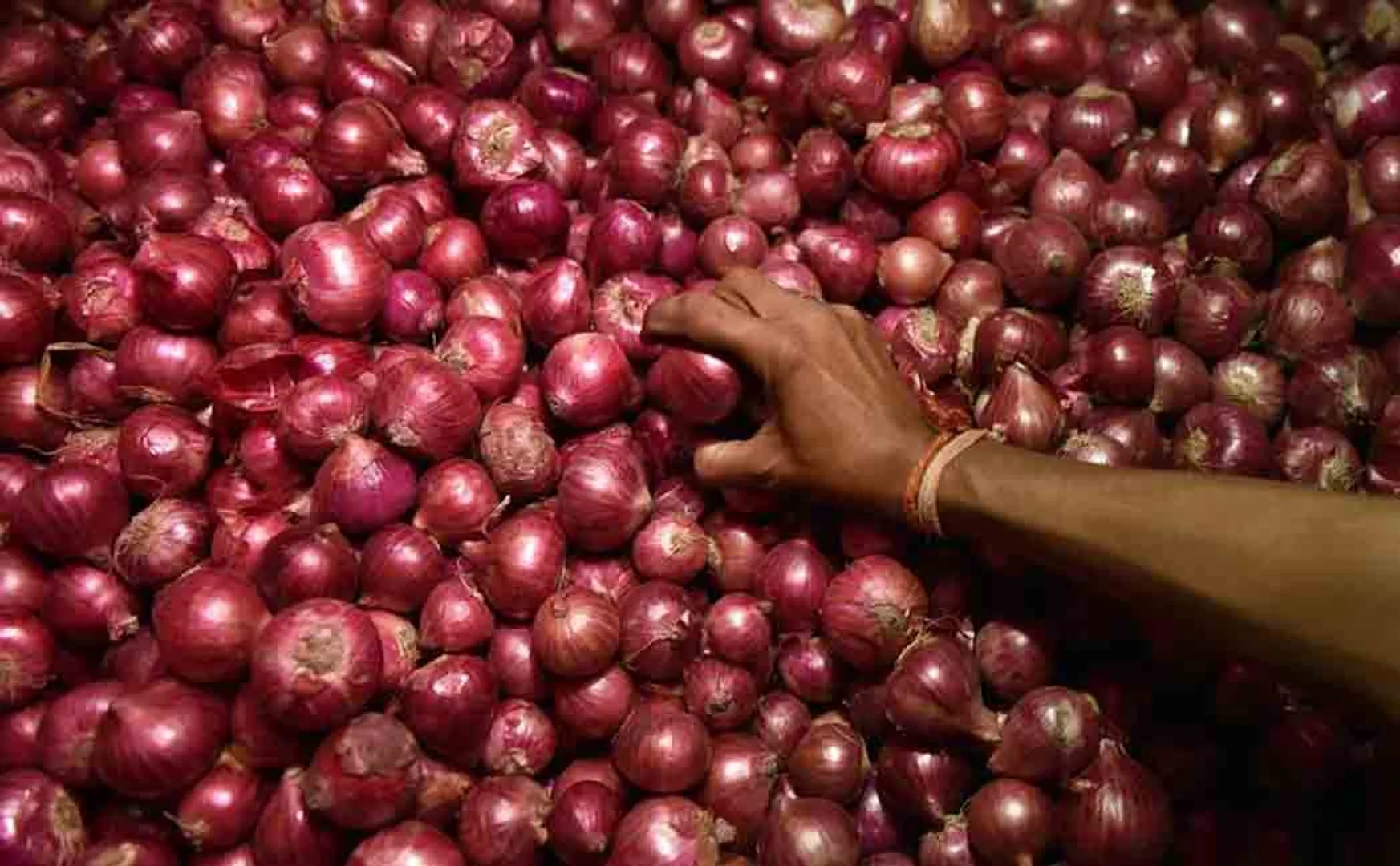onion storage union government announced 2 tons only 