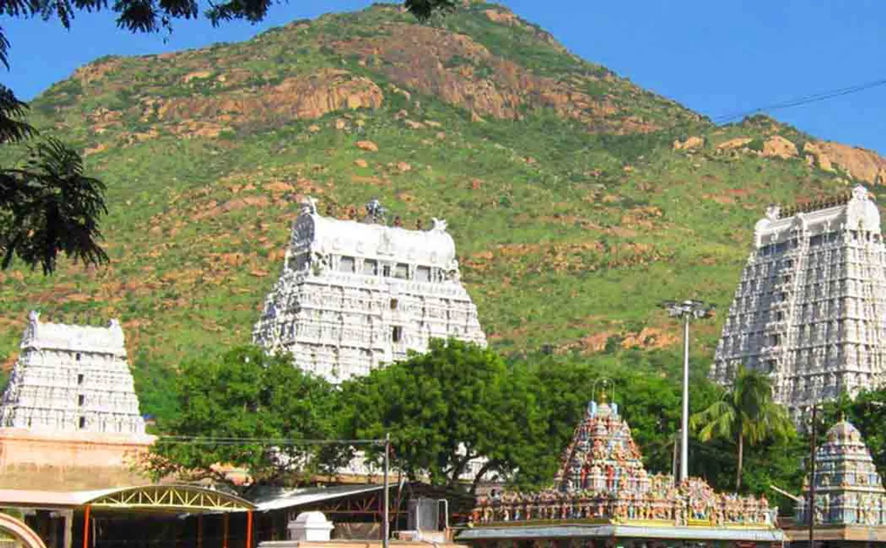 thiruvannamalai deepam festival live jaya tv not get permission cm office 