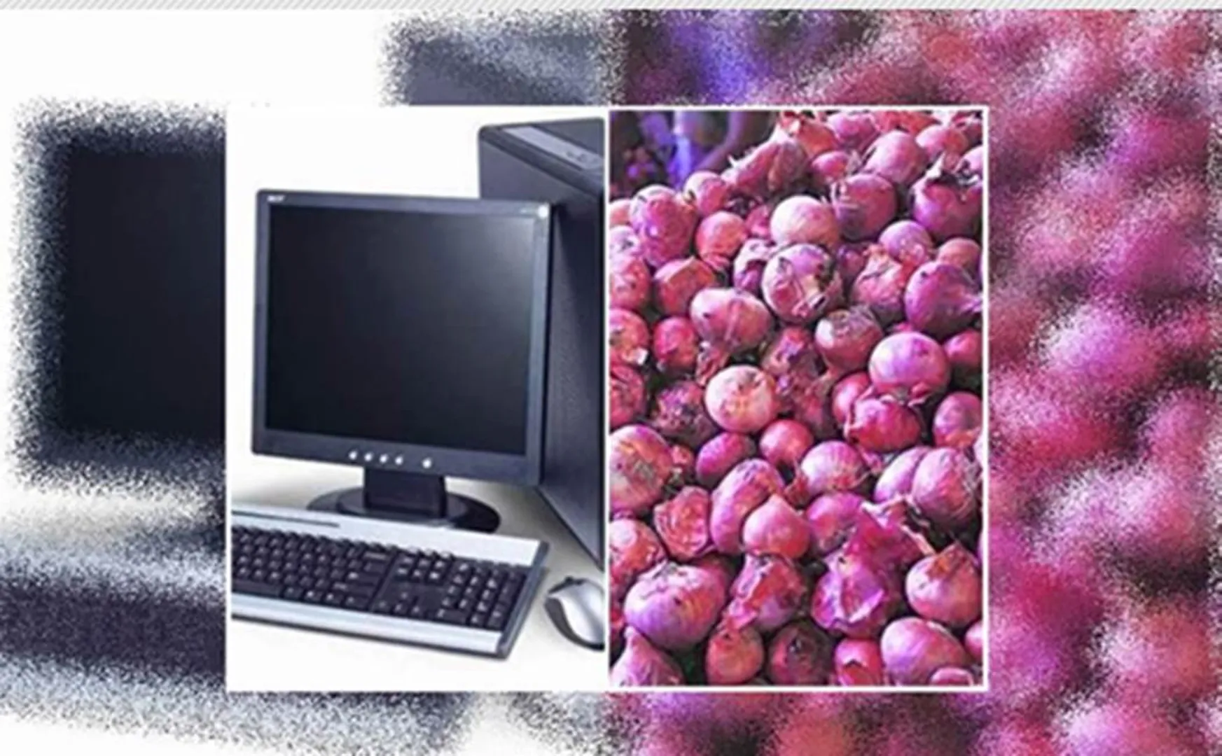 onion prices-Computer shop