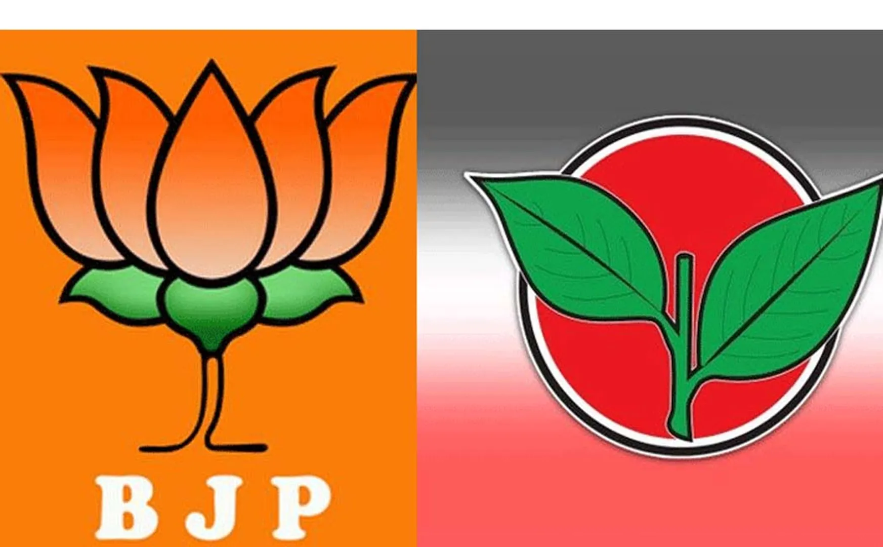 tamilnadu local body election admk and bjp parties alliance 