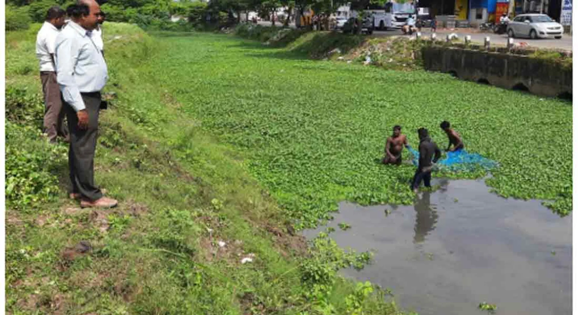 Public works in the process of removing Lotus