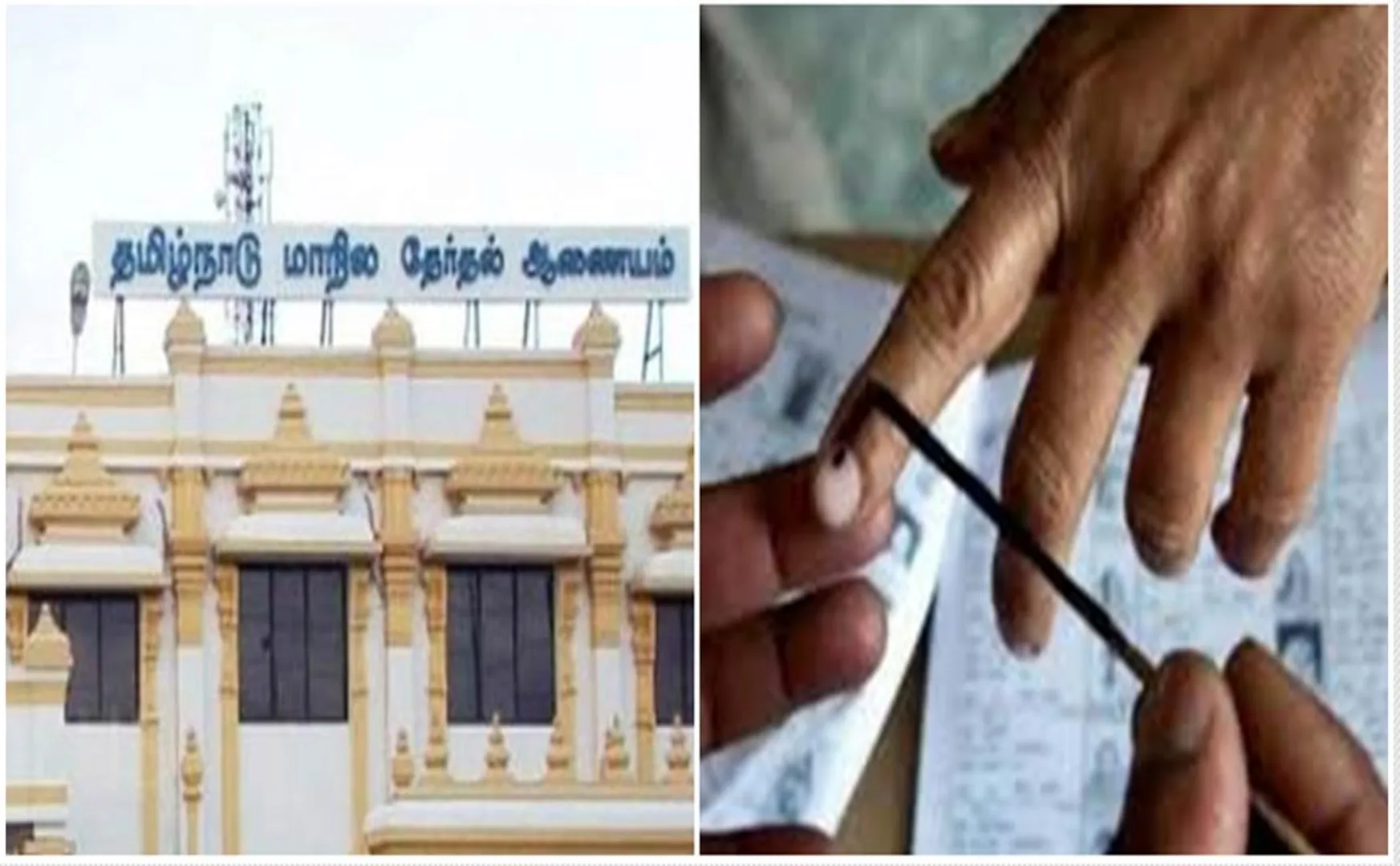  local body election-Nomination filing completed today