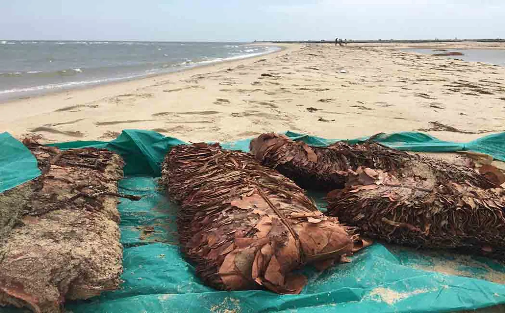 rameshwaram sea  Beedi leaves srilanka smuggling chance 