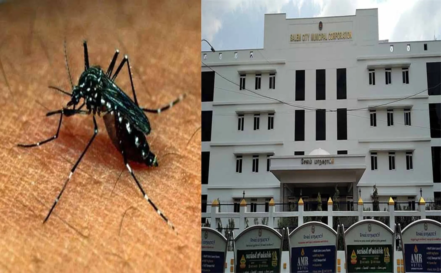 DENGUE ISSUES NOT CLEAN HOMES SALEM CORPORATION NOTICE ISSUED IN 11,248 HOMES 