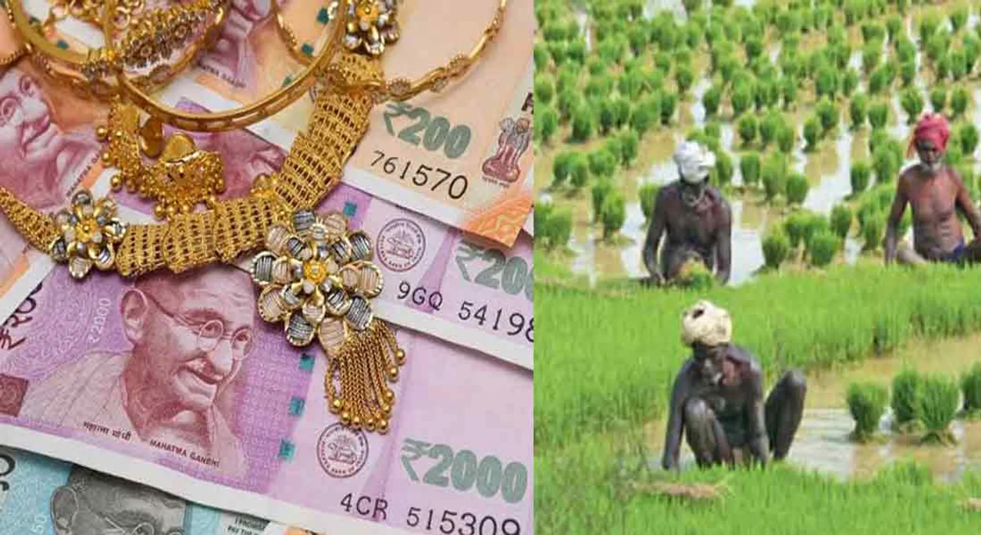  Interest rates  hike for agricultural jewelery loan ...