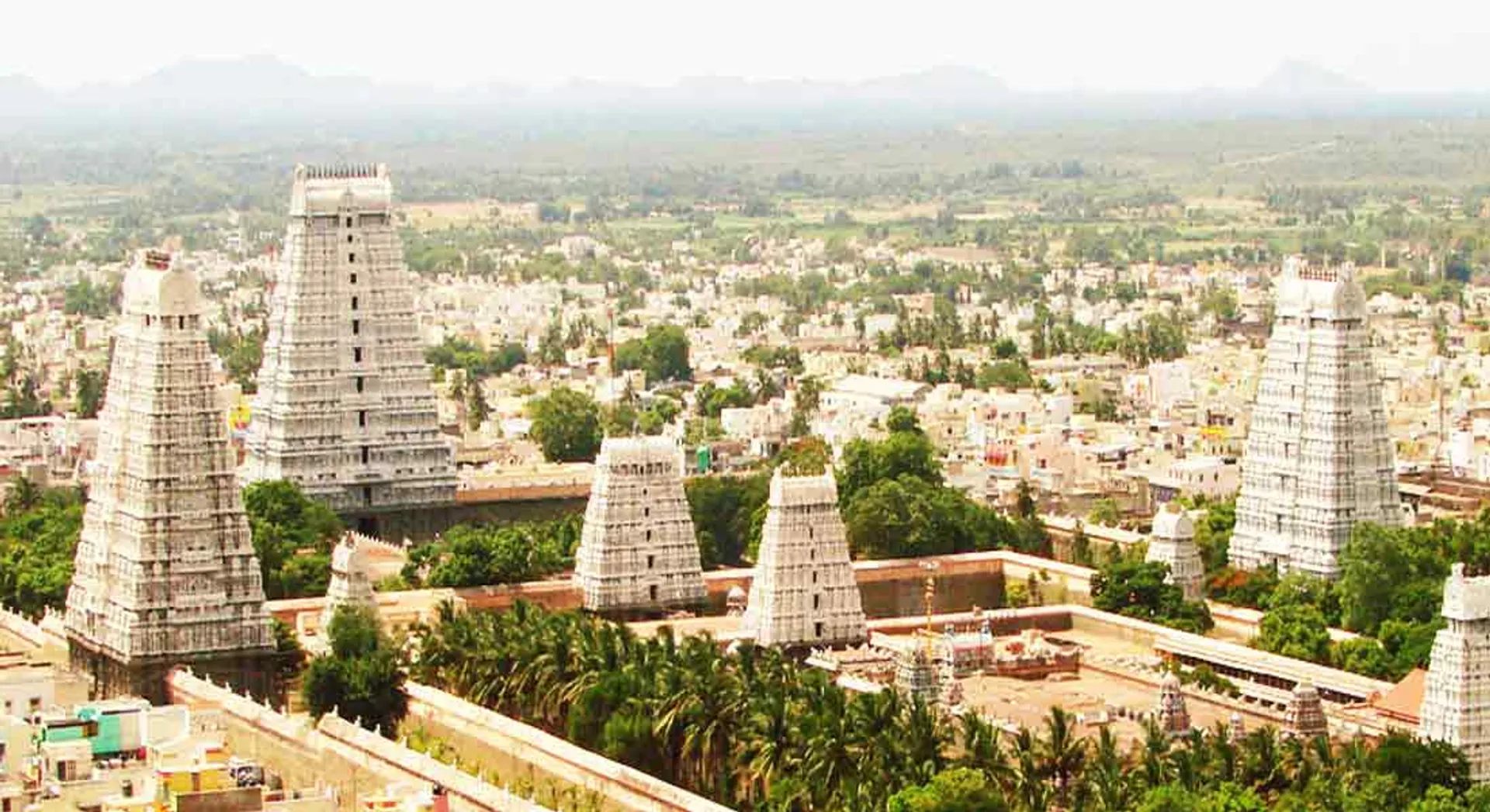 thiruvannamalai local election 