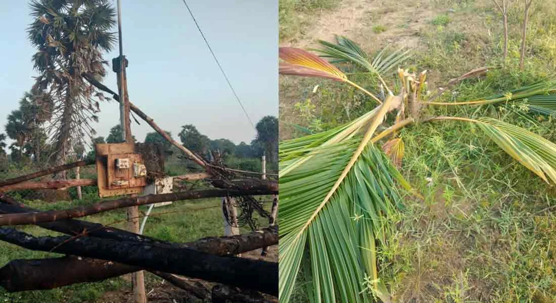 incident in pudukottai 