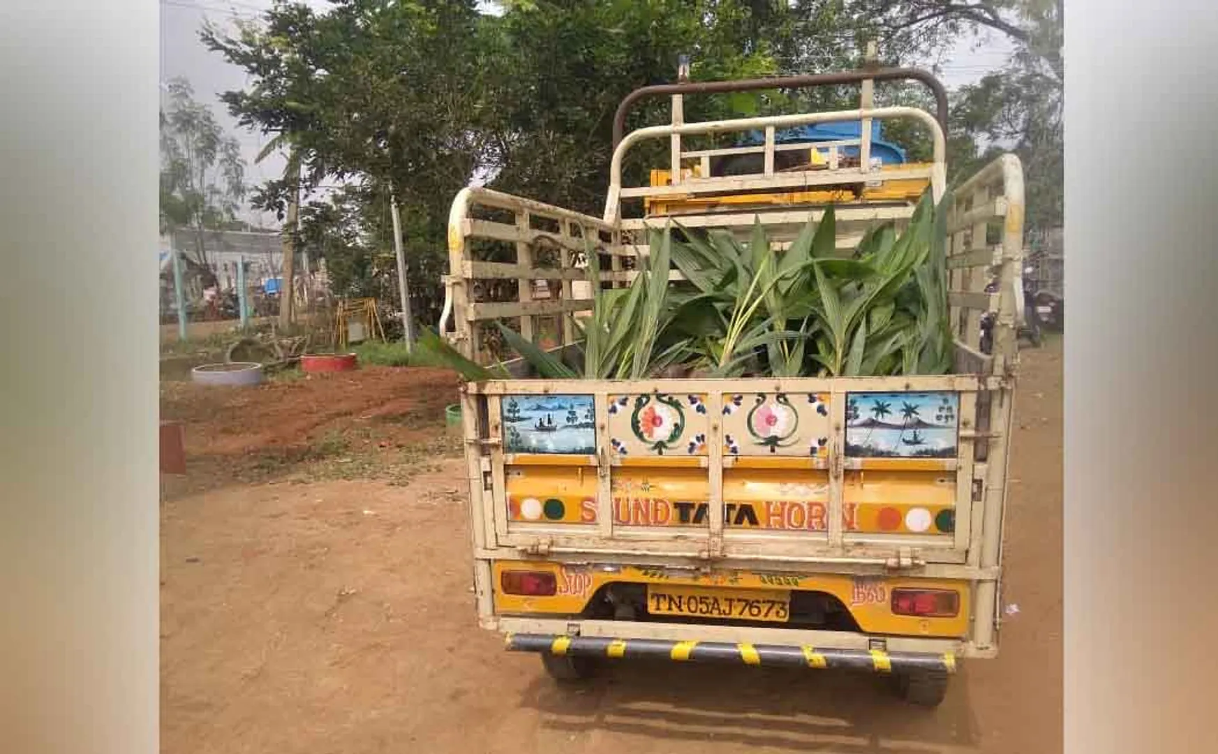   local body election Voters Coconut trees police 