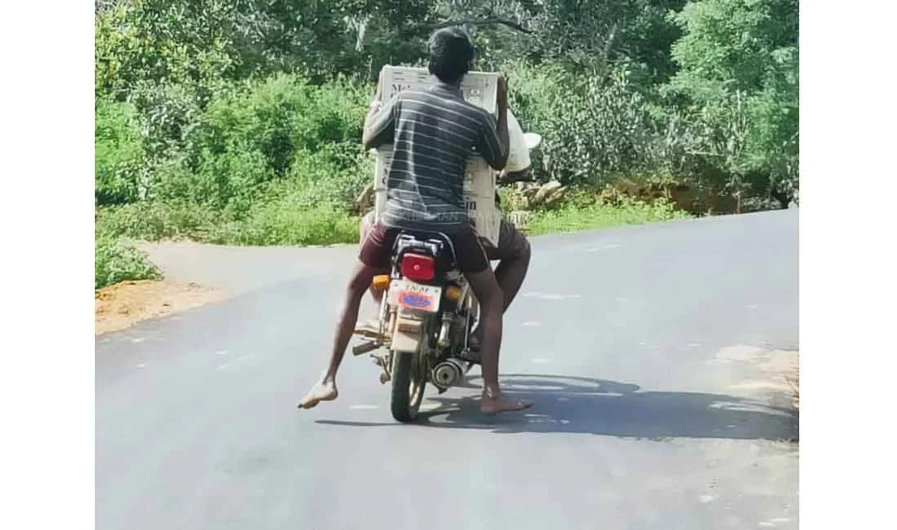 local body election