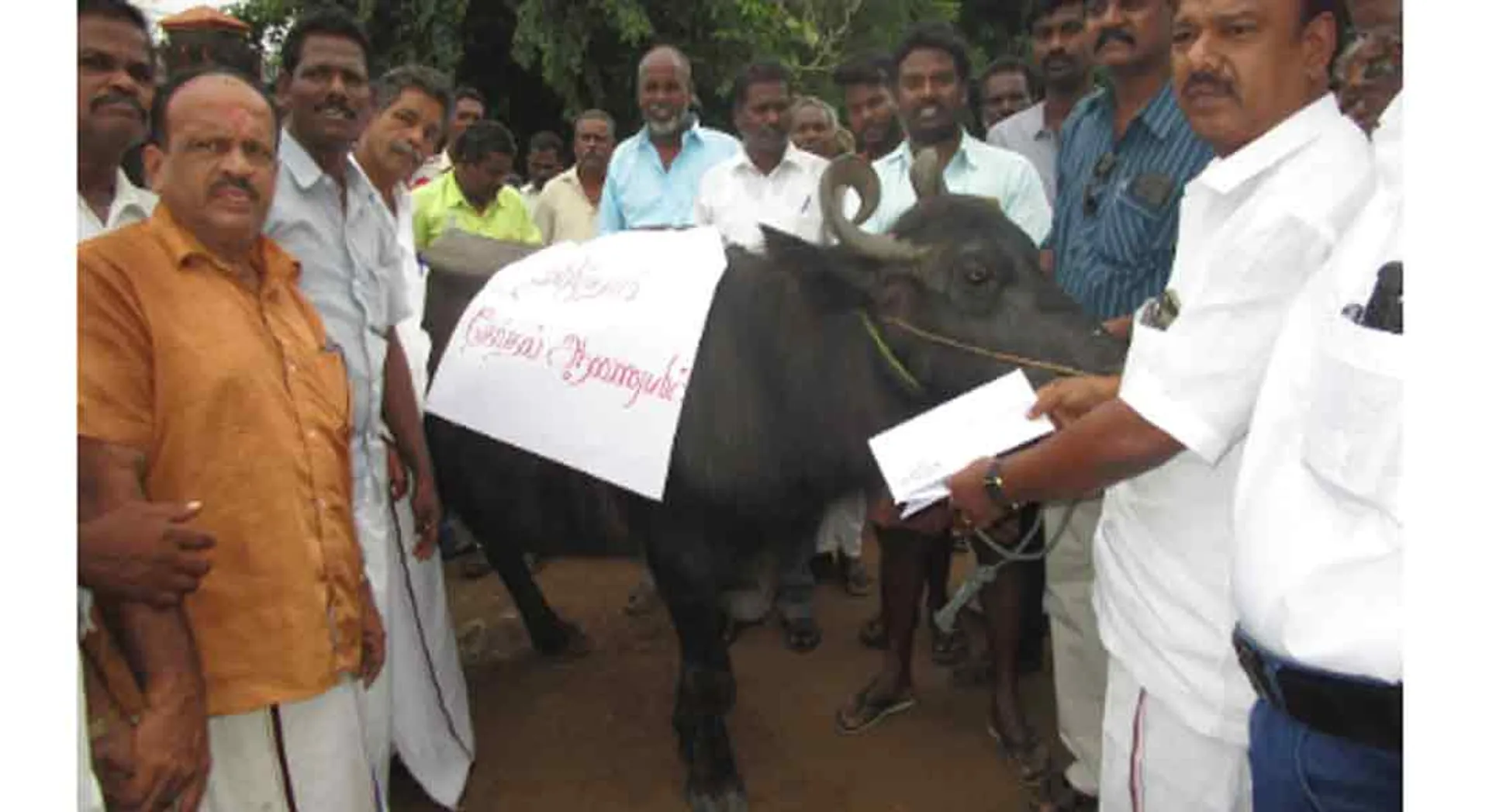 dmk