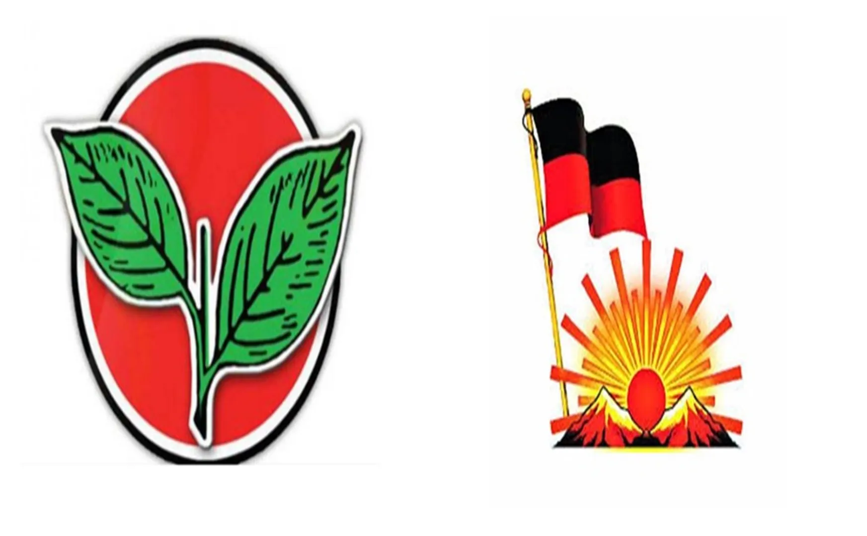   local body election-Thiruvannamalai-dmk-admk-Competition  