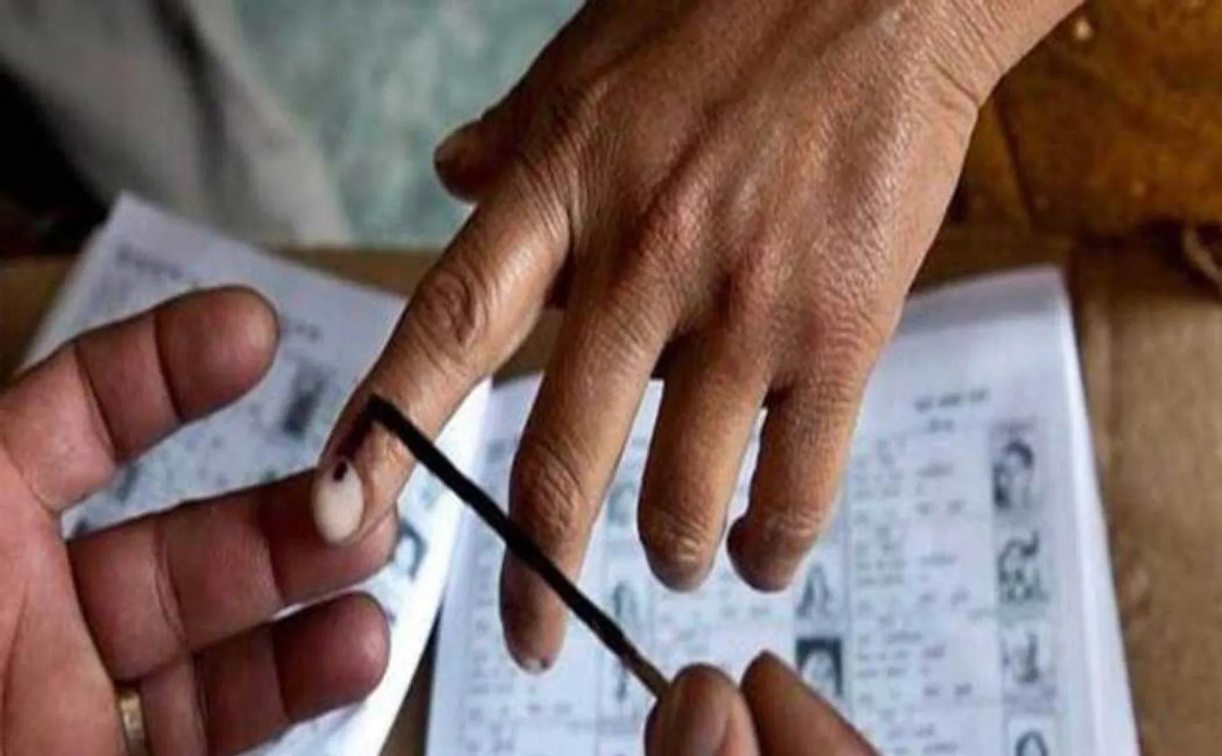 local body election result issue dmk-appeal-in-high-court
