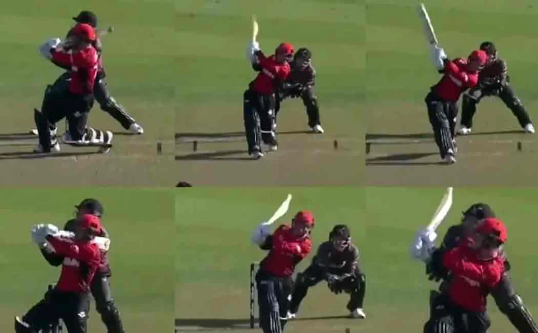leo carter record in t20 cricket