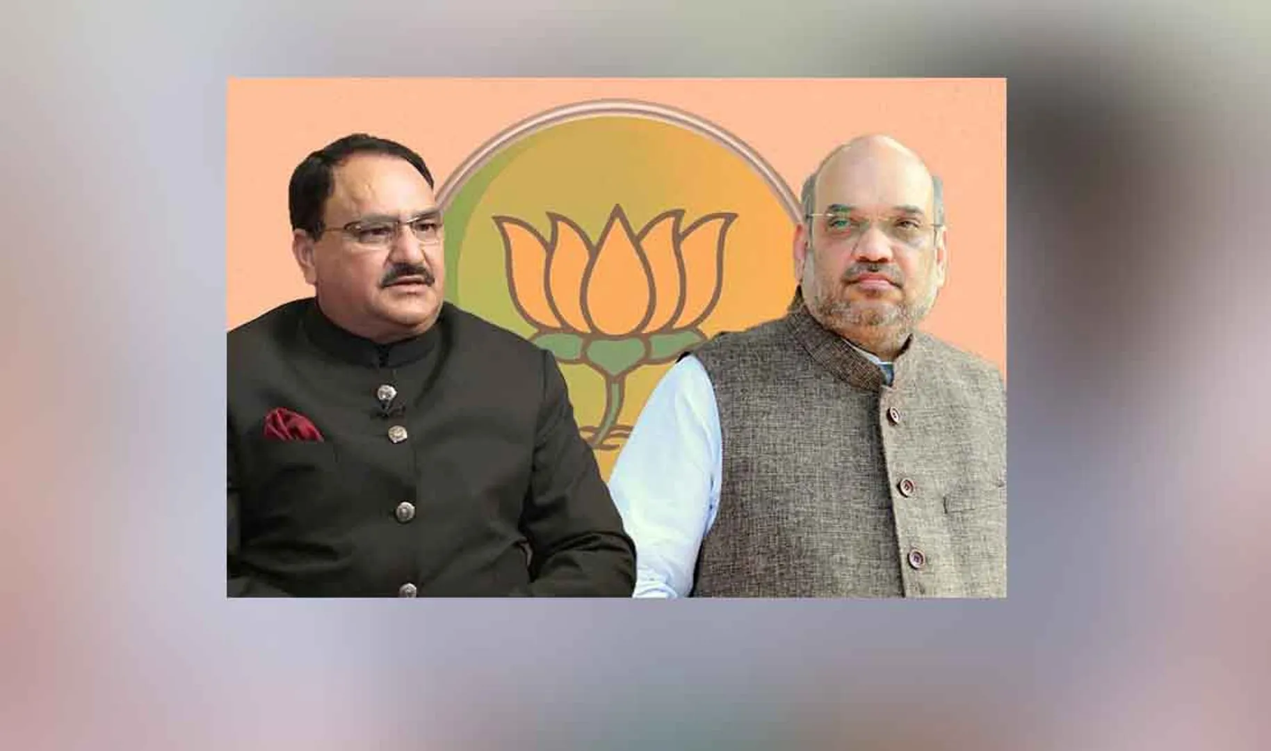  BJP