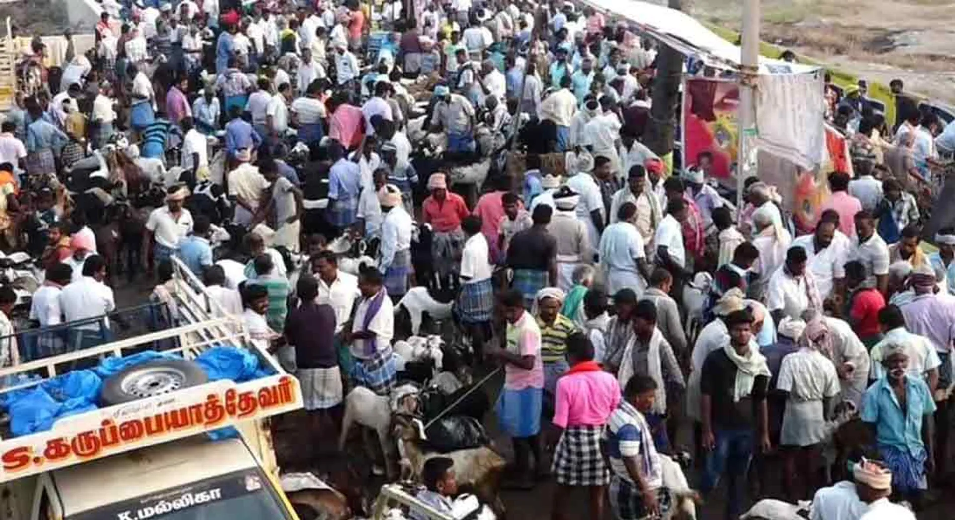  Goats sales for Rs 5 crore for Pongal Festival .. !!!!