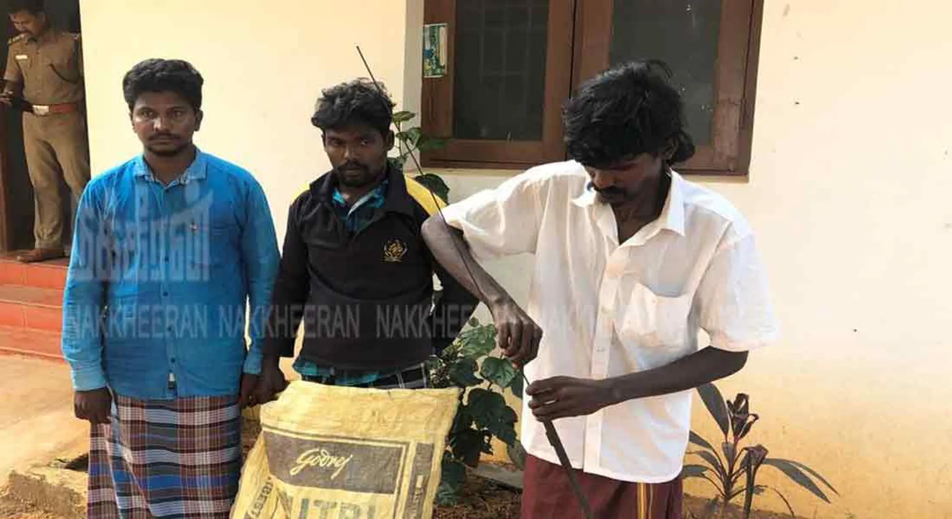 Peacocks Hunting ... 3 Arrested 
