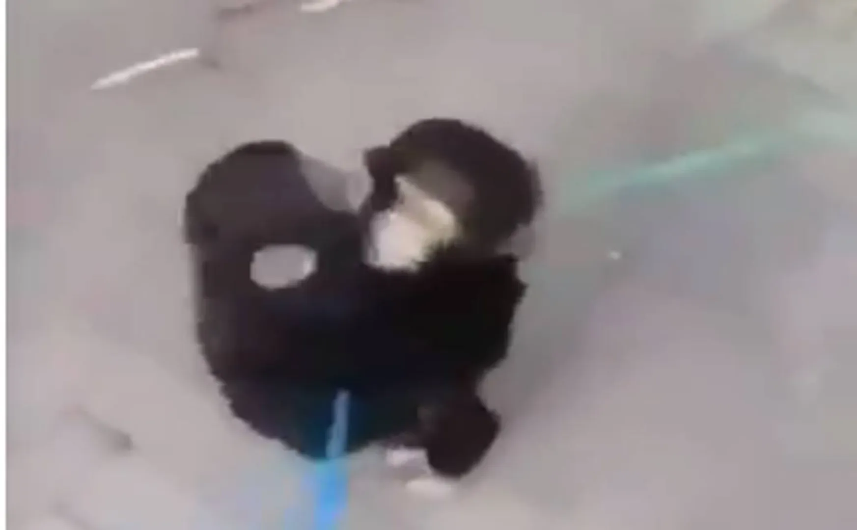 gh