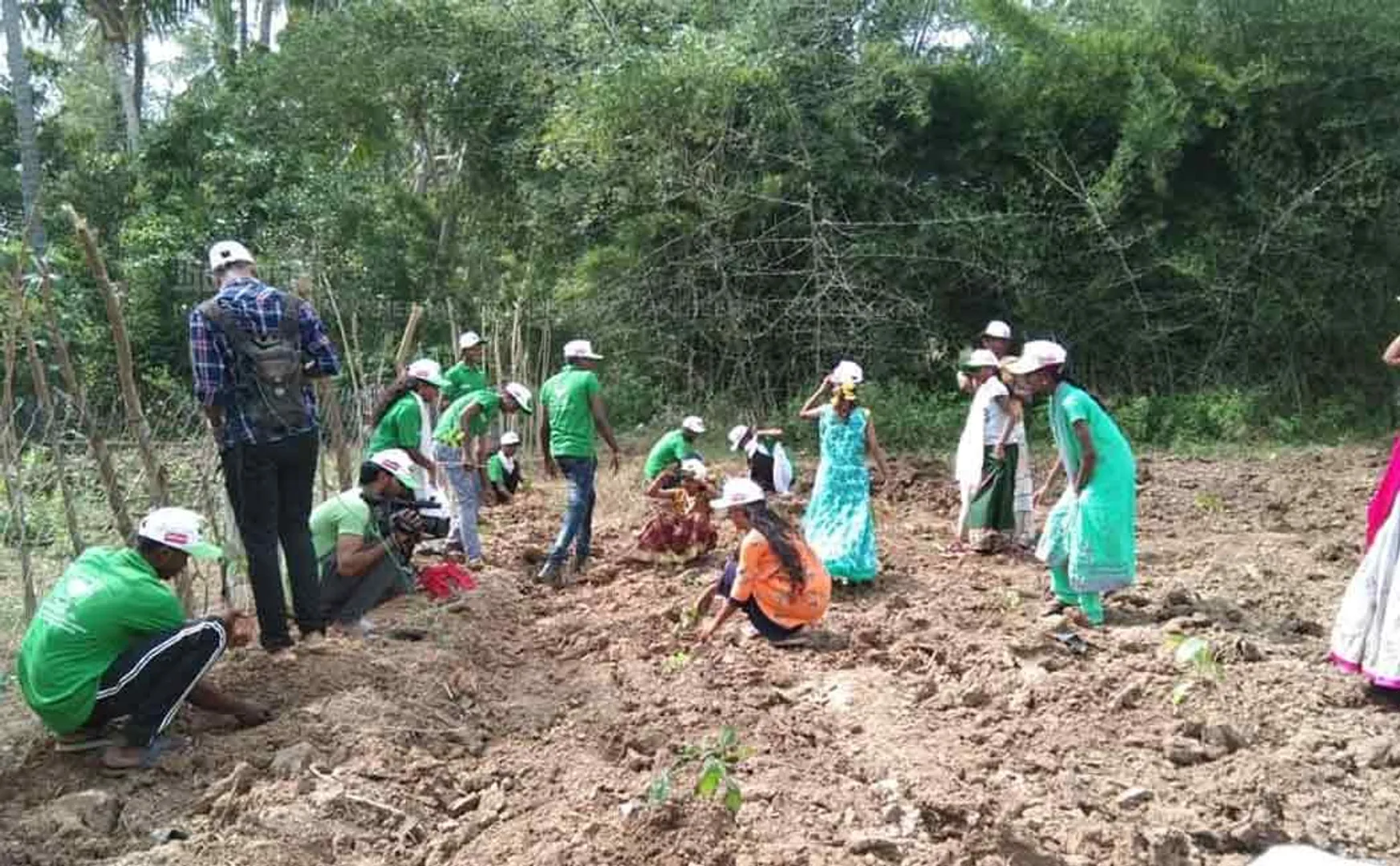 pongal celebrations with forestation 