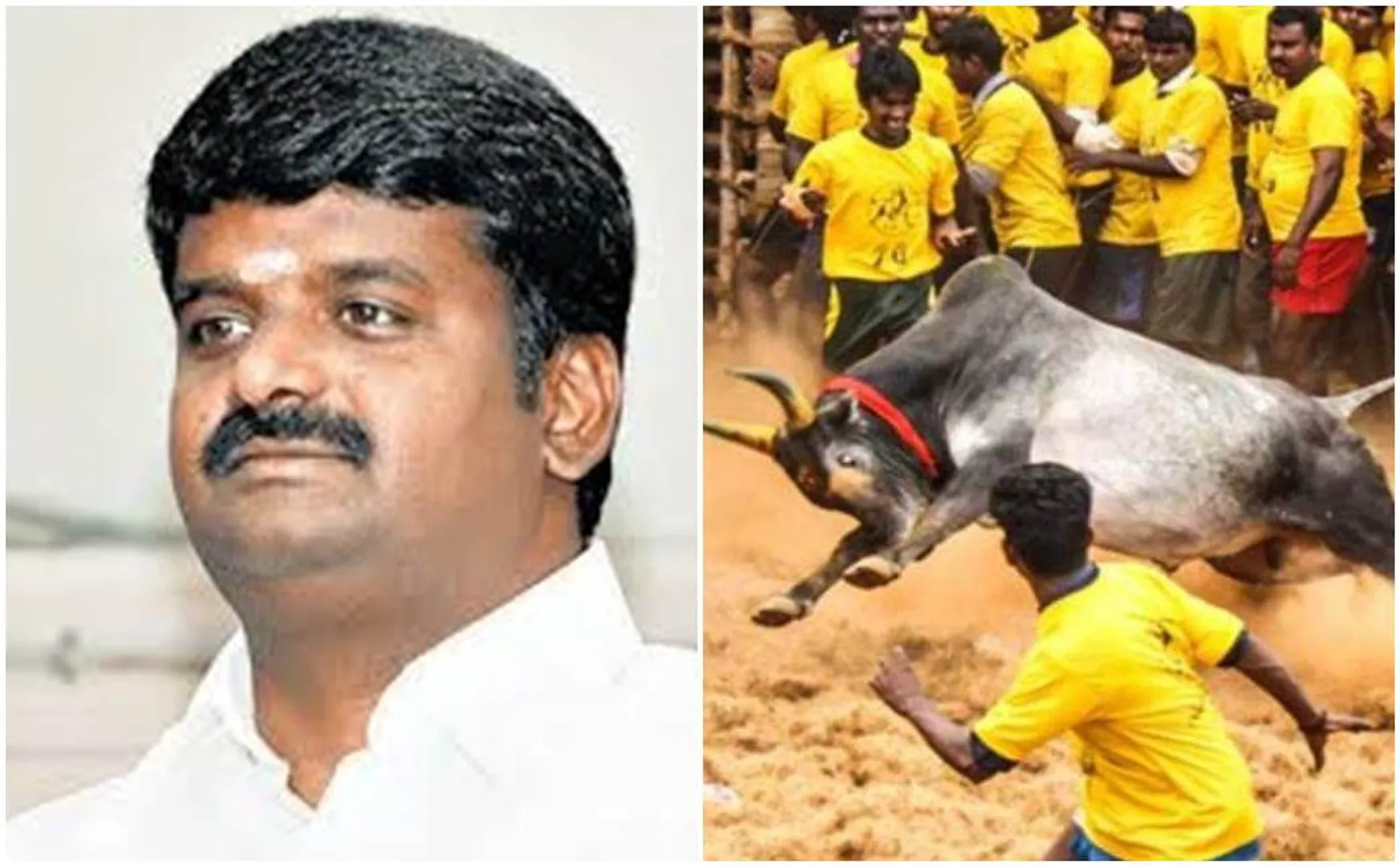  pongal festival-madurai-Alanganallur-Jallikattu-minister-vijayabaskar