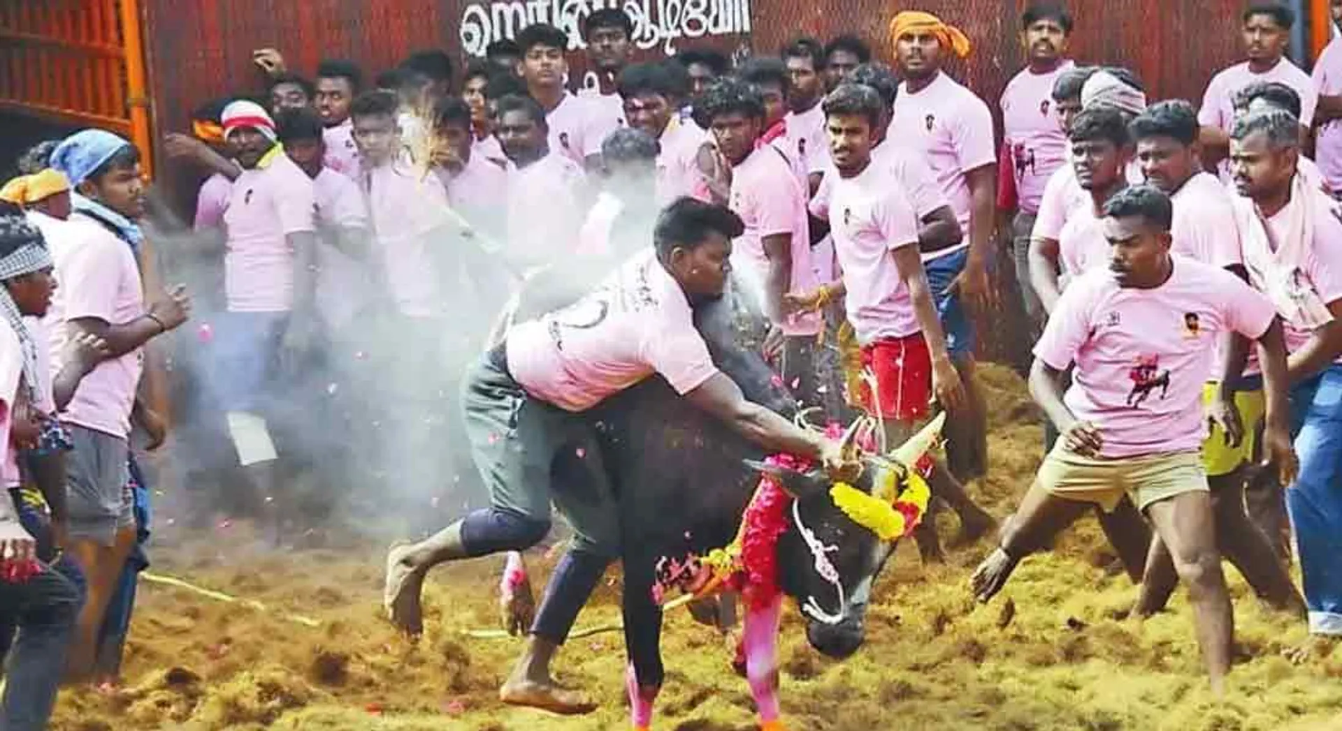 koolamedu jallikattu 