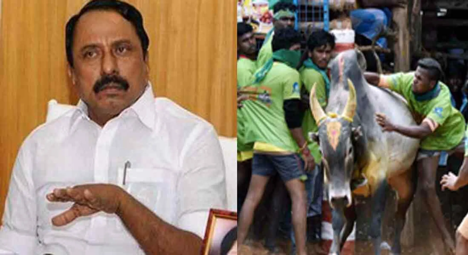jallikattu 
