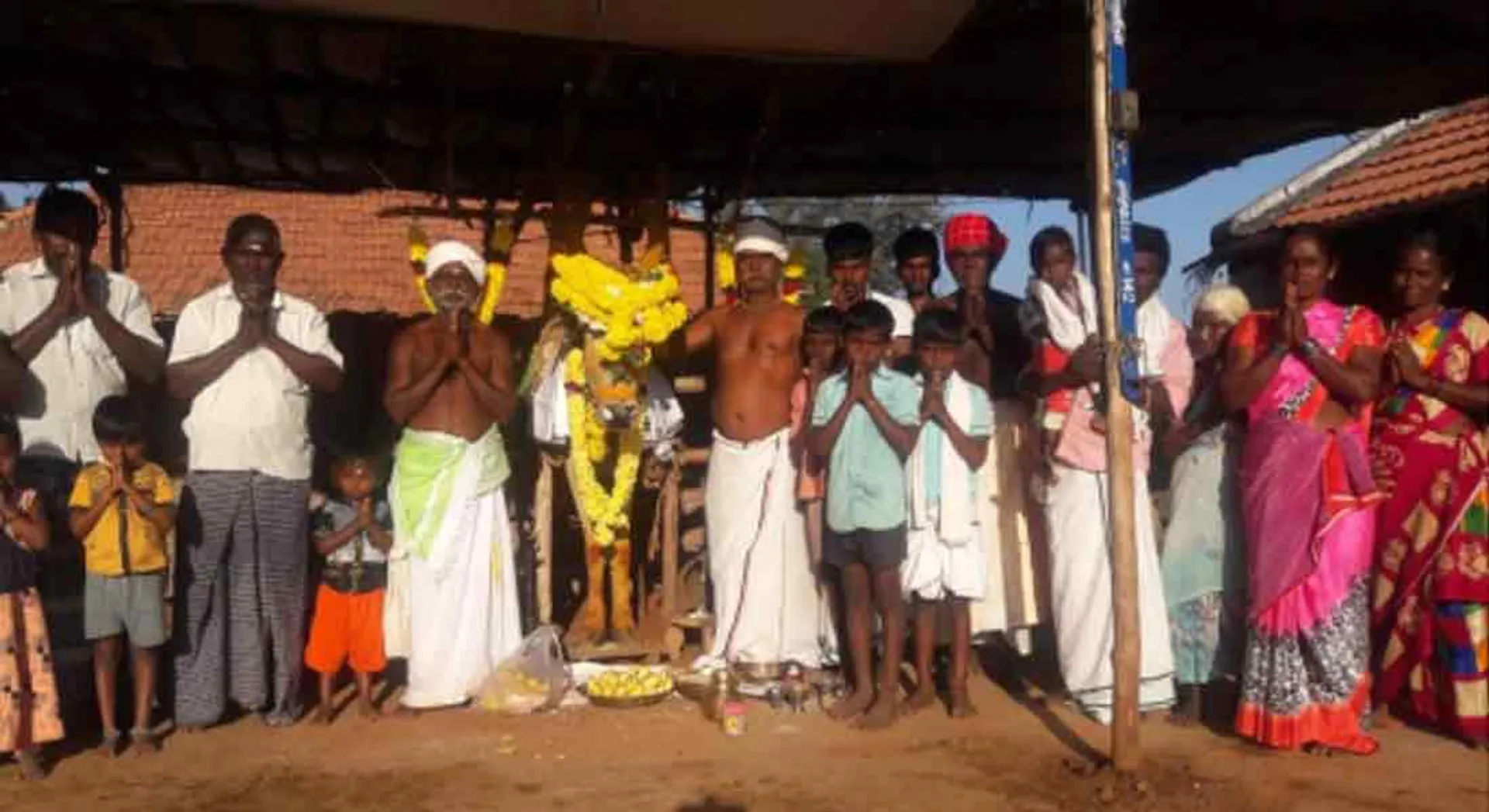 temple bull! 18  People Crying