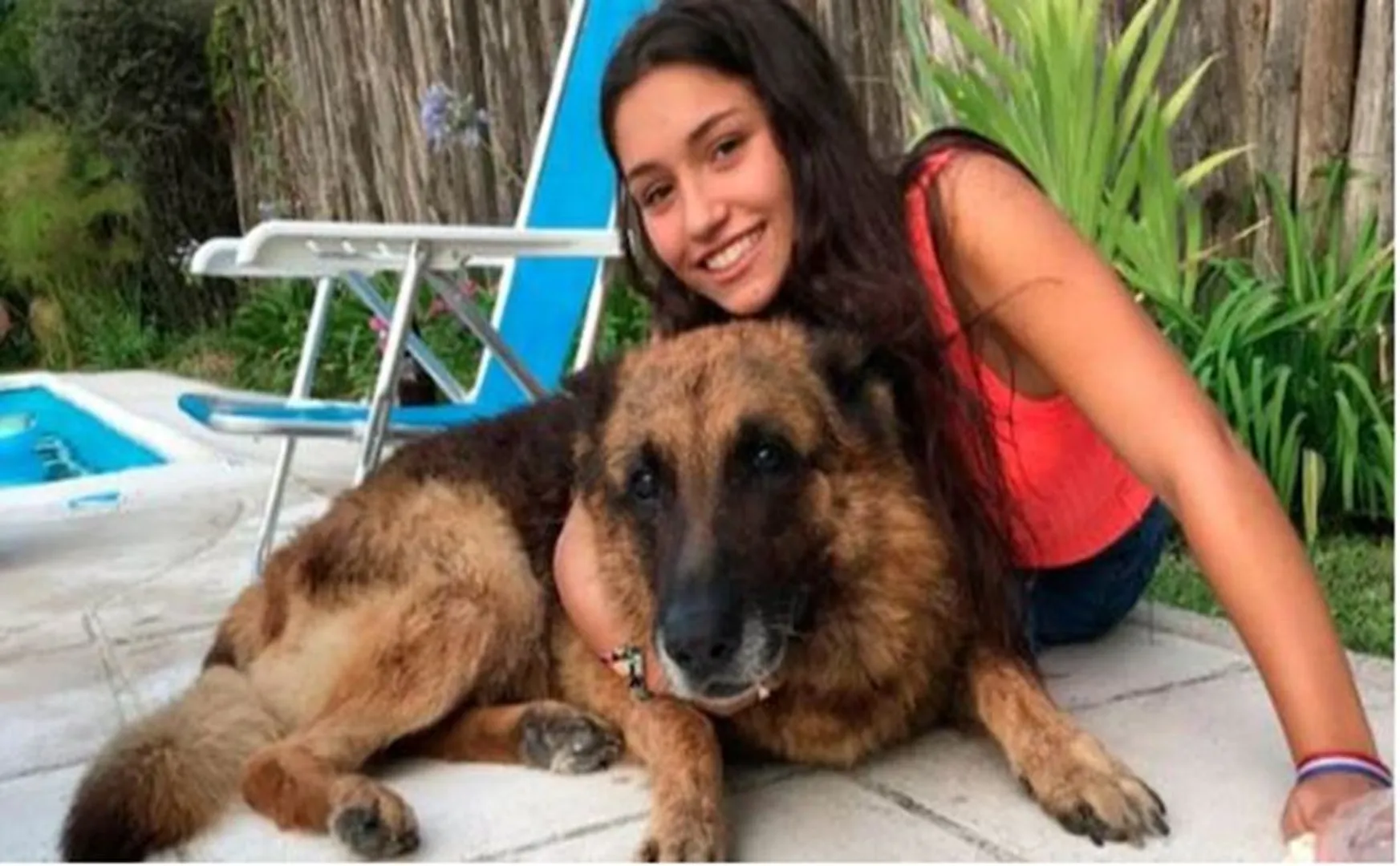 german shepherd attack argentina girl