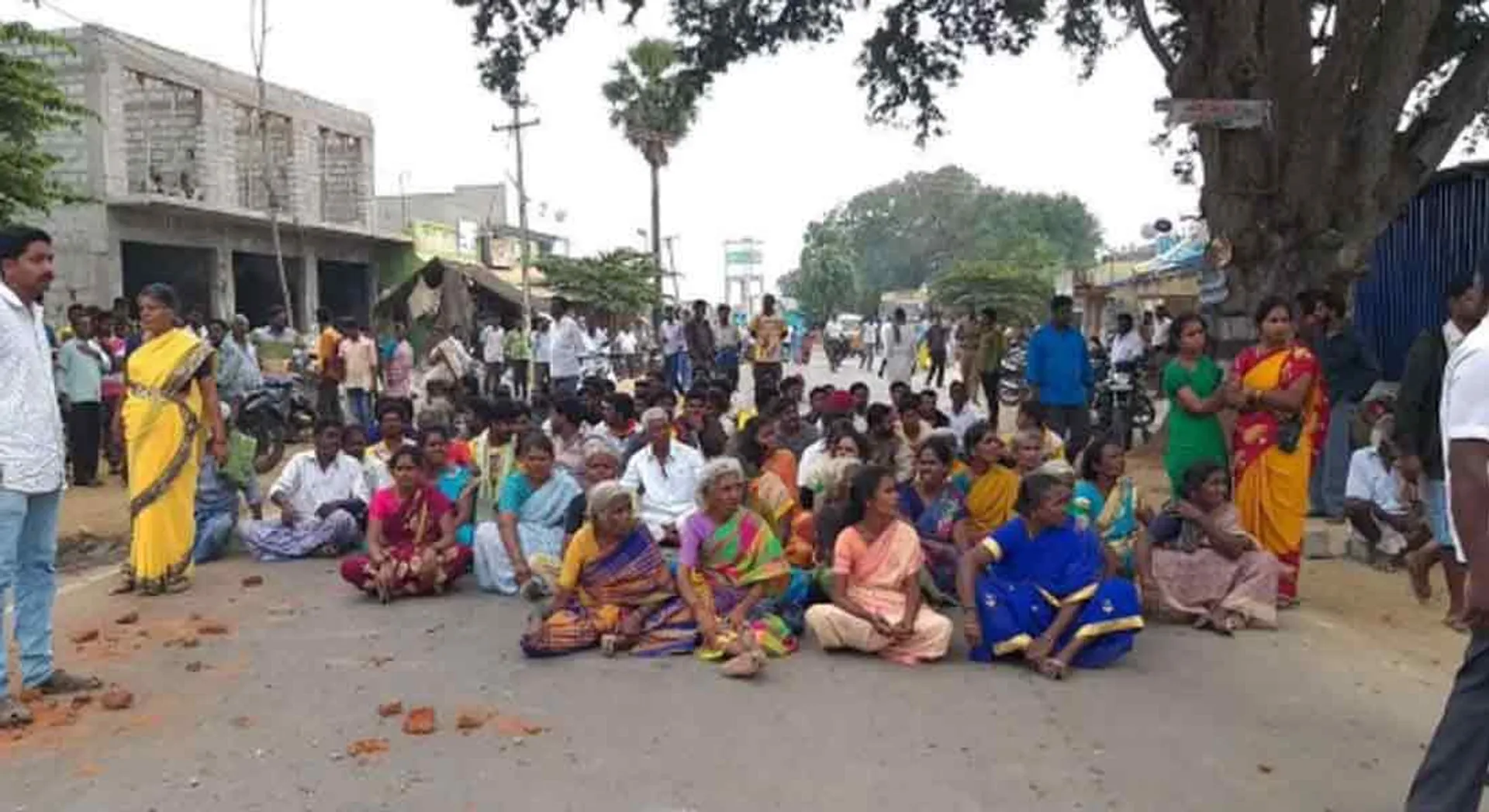 Jallikattu bull that fell into the well ... sued the executives ... People stir!