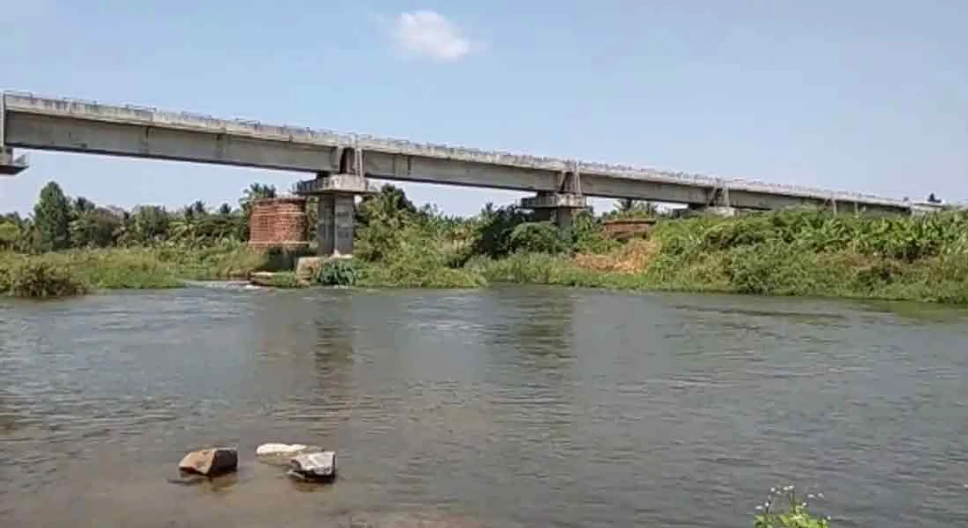 dhamirabarani water in quality for drinking!- Orders to set up study committee and submit report