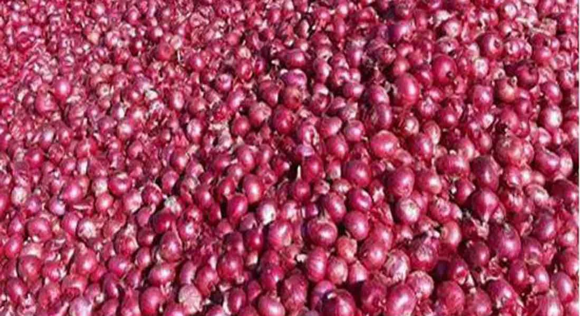  The price of onions is decrease
