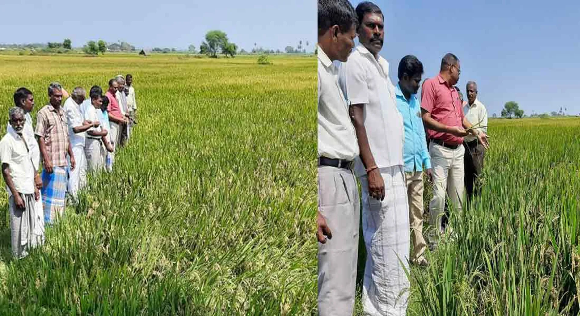 Echo of Nakkeeran's message; Farmers thanking Nakkeeran