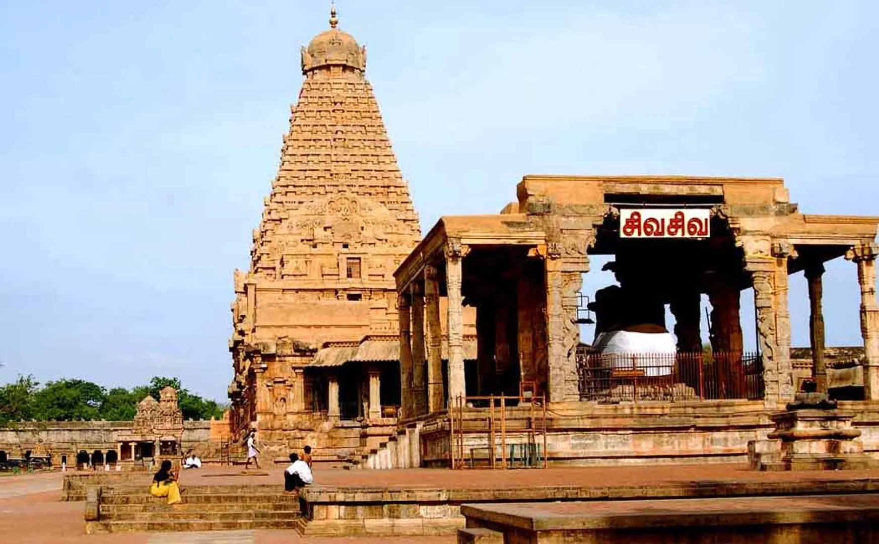 thanjai district temple reforming festival high court madurai branch 