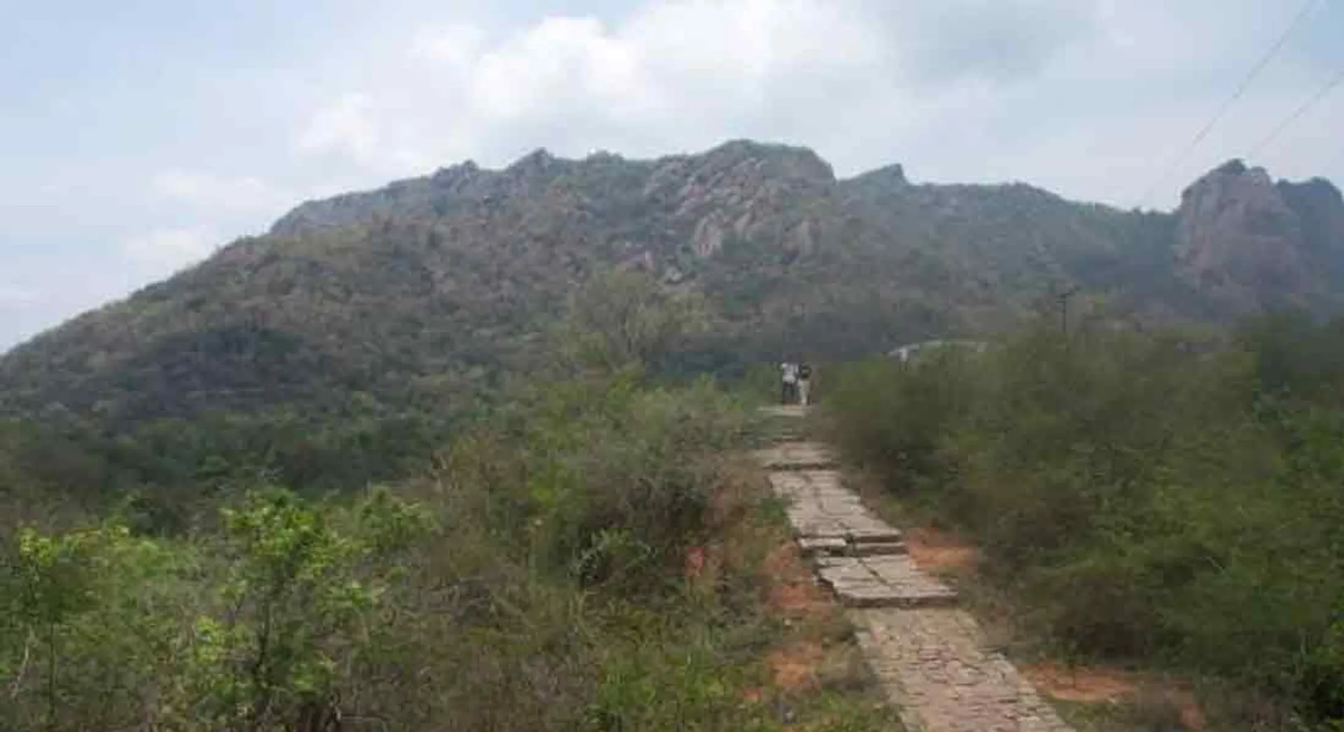 defeat incident in amirthy forest 