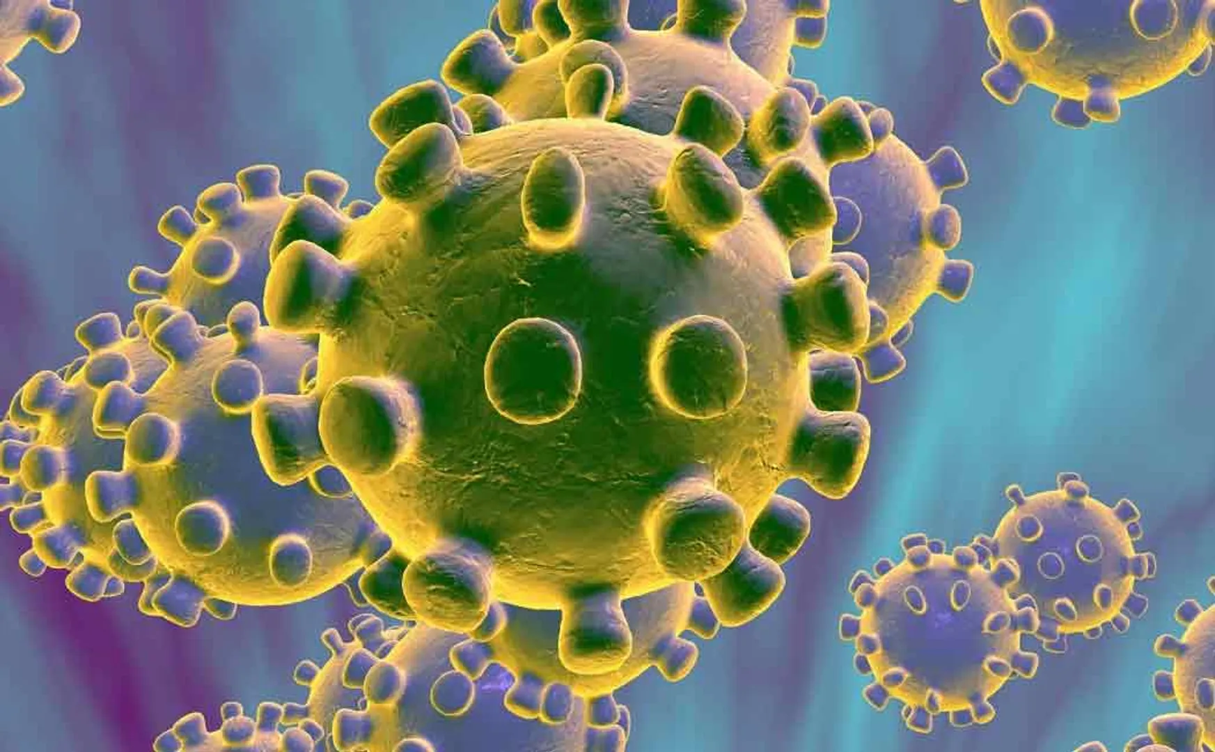 List of countries at risk for corona virus