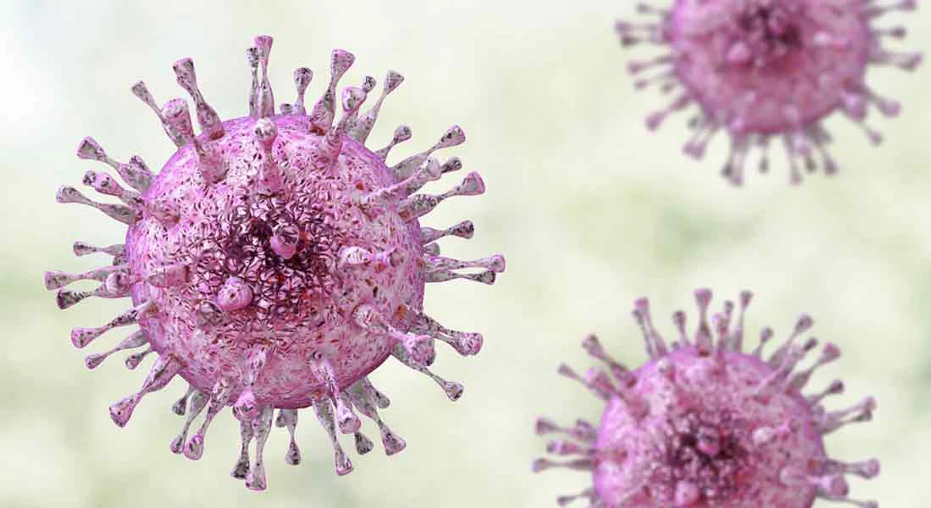  Coronavirus echo: 78 people on watch in Tamil Nadu, shocked by director of public health department