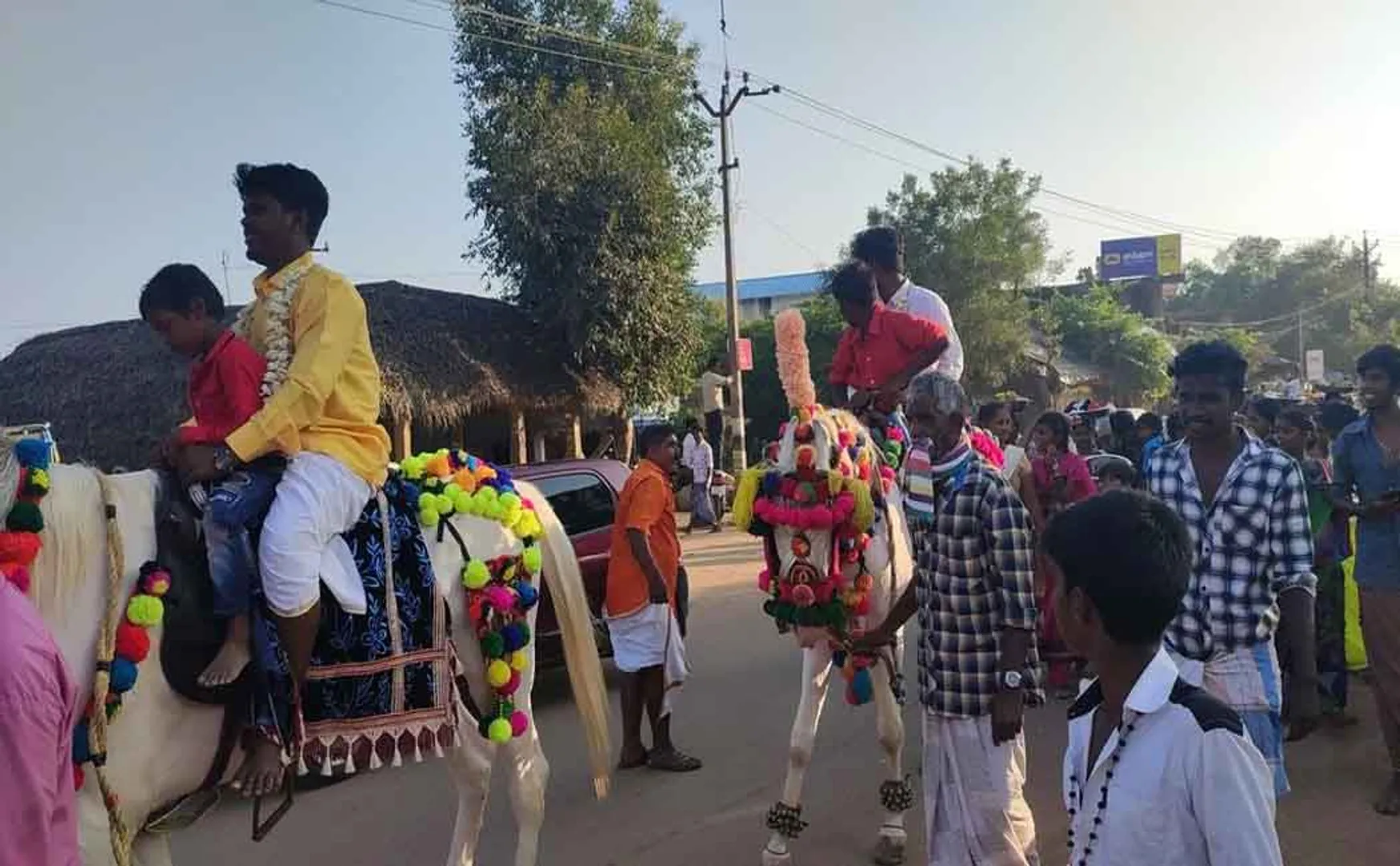 pudukkottai horse Palangudiyinar seer peoples road 