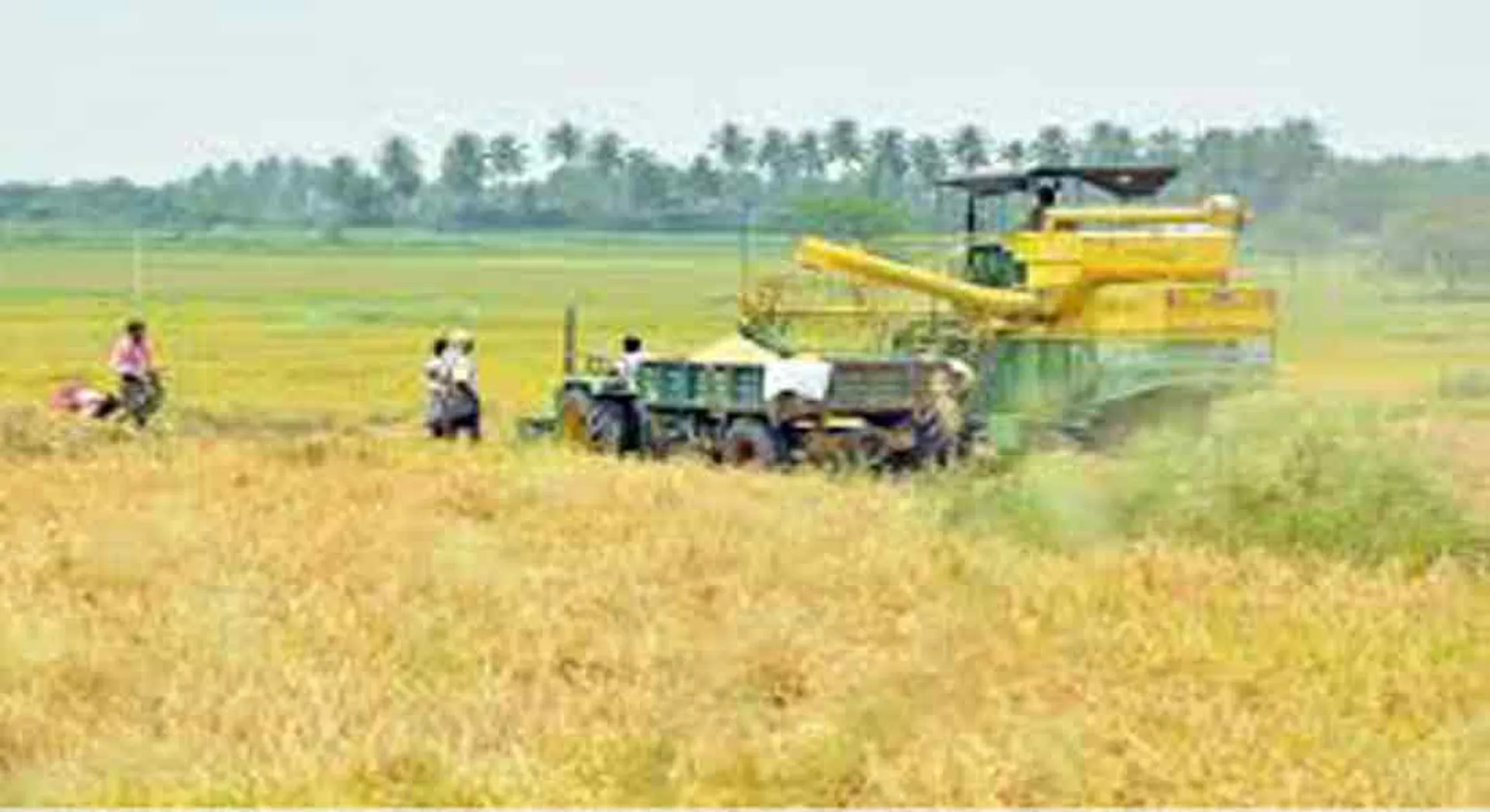 cuddalore 