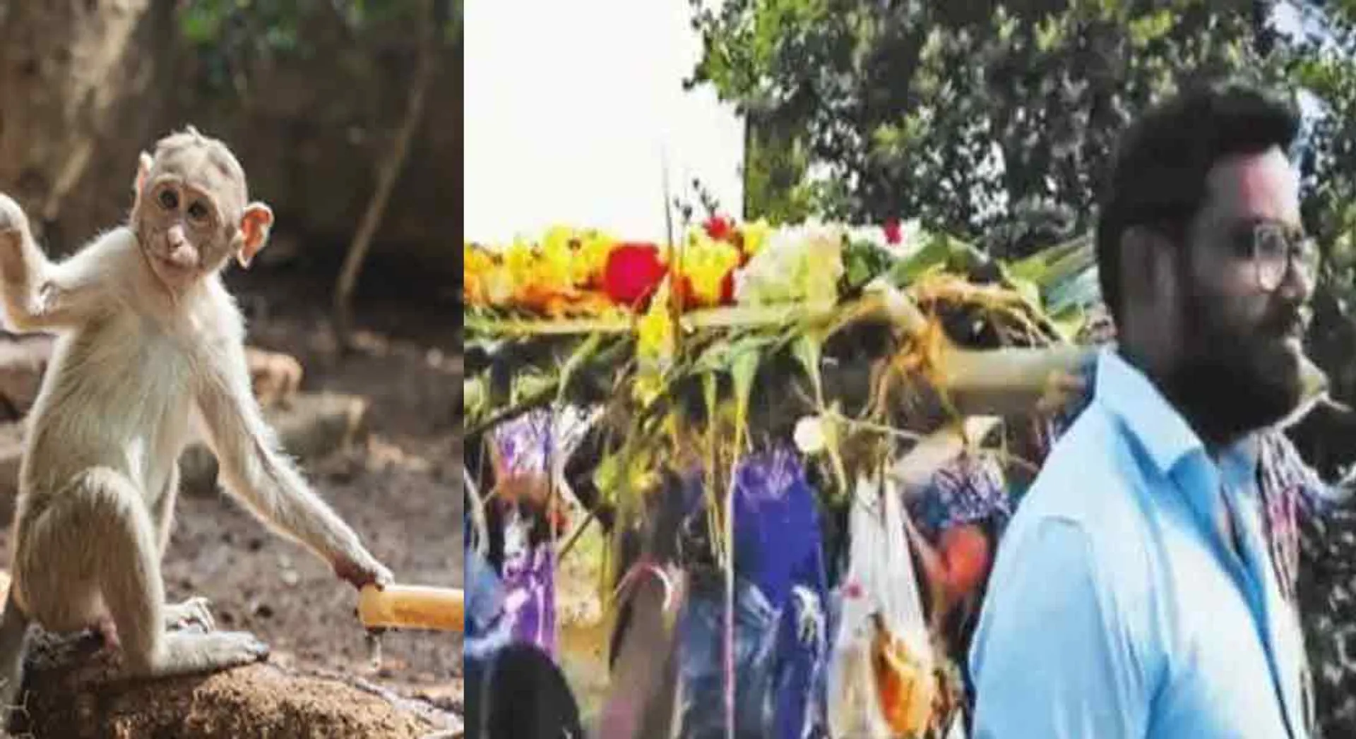 Funeral for Monkey! Humanities Mountain Villagers !!