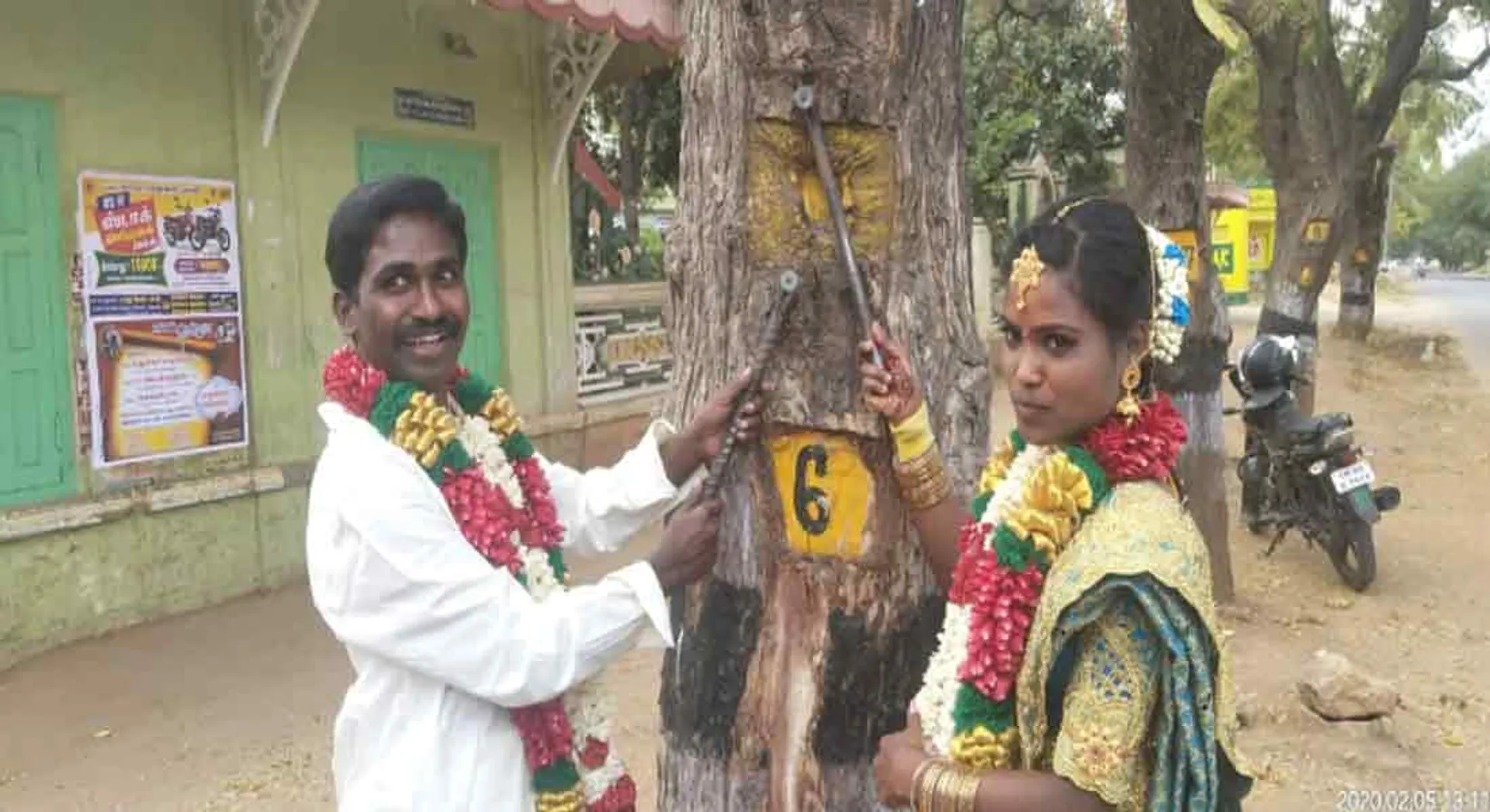 Newlywed couple remove nail in trees