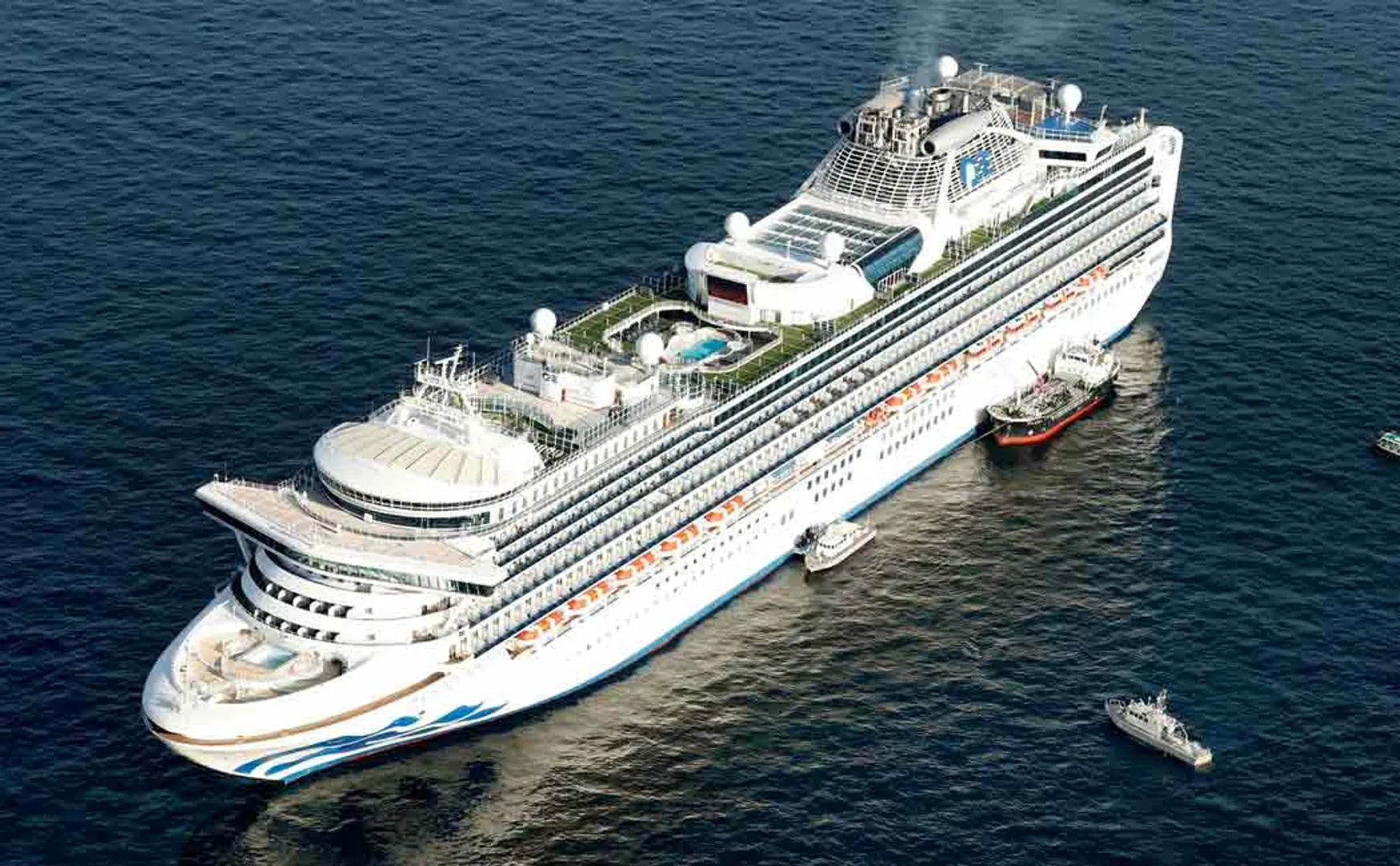 41 more corona cases found in Diamond Princess ship