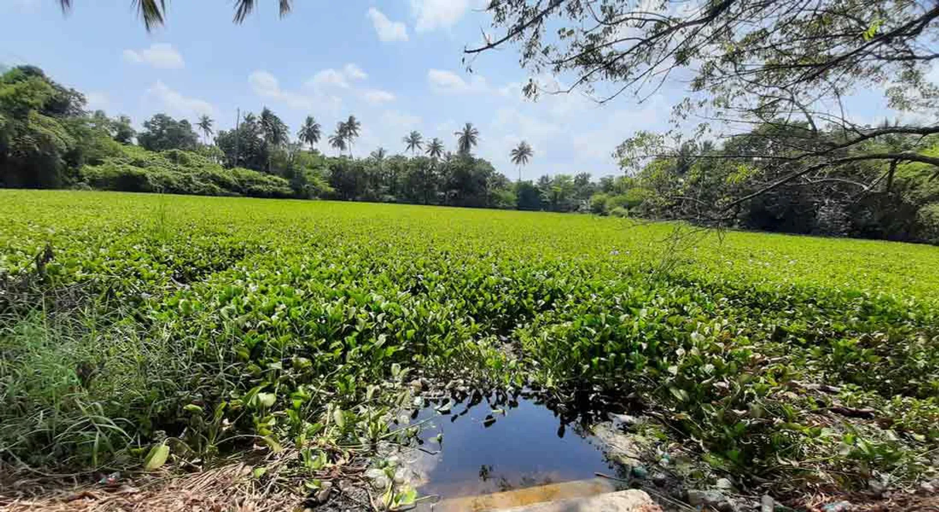 Groundwater protection ponds are deteriorating