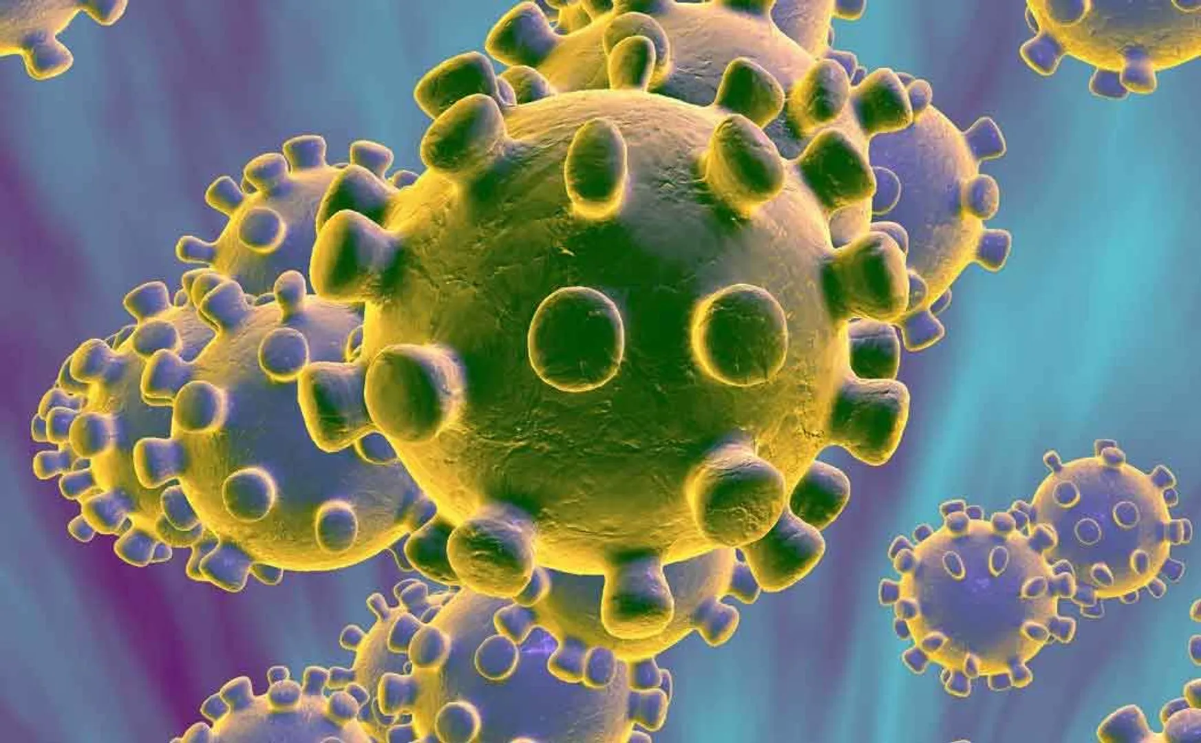 corona virus
