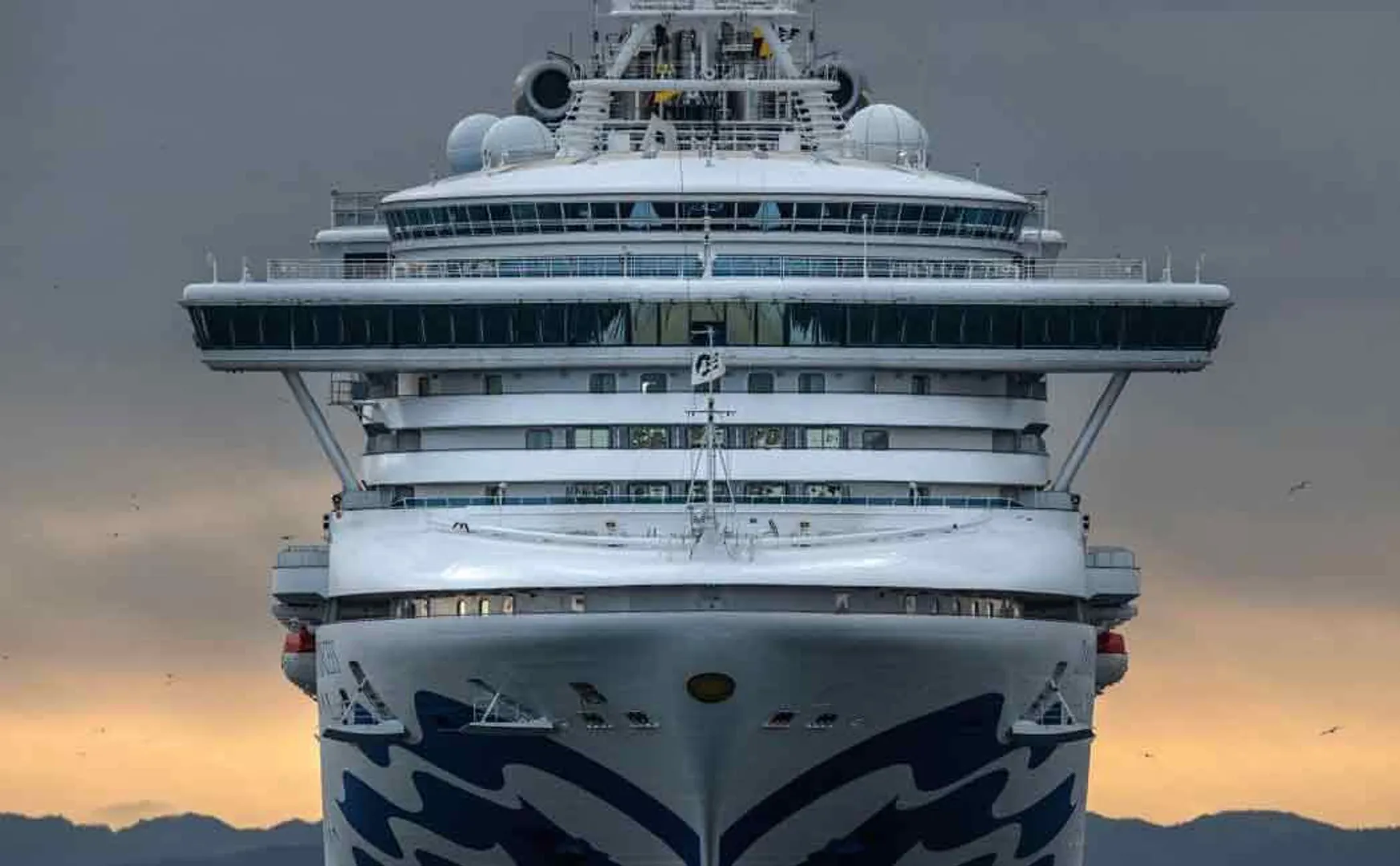 japan ship coronavirus incident india peoples 