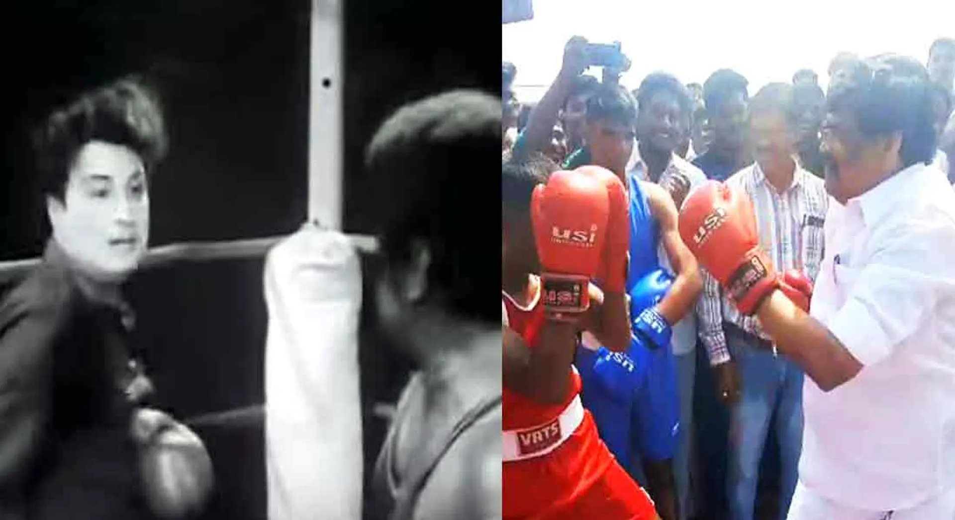 MGR on screen! KTR in real time! Boxing is a dream come true!