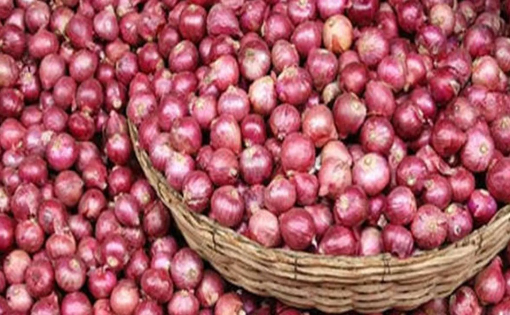onion